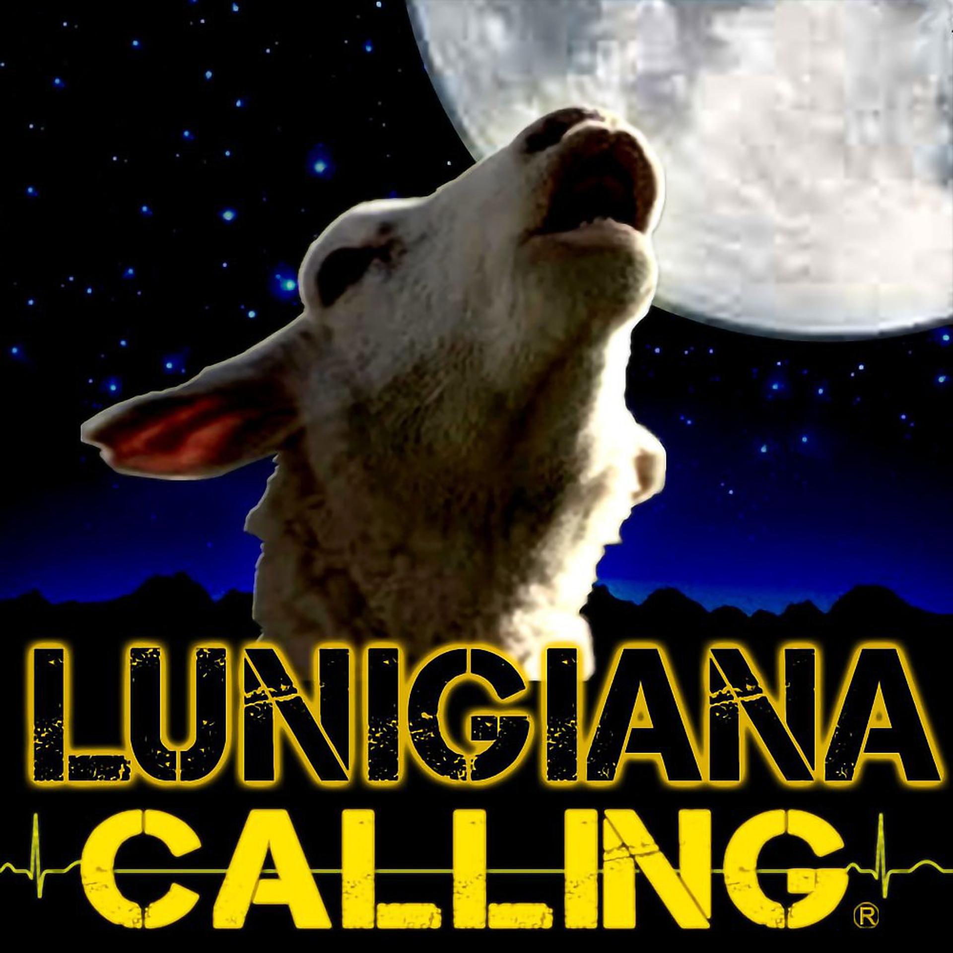 Постер альбома Lunigiana Calling