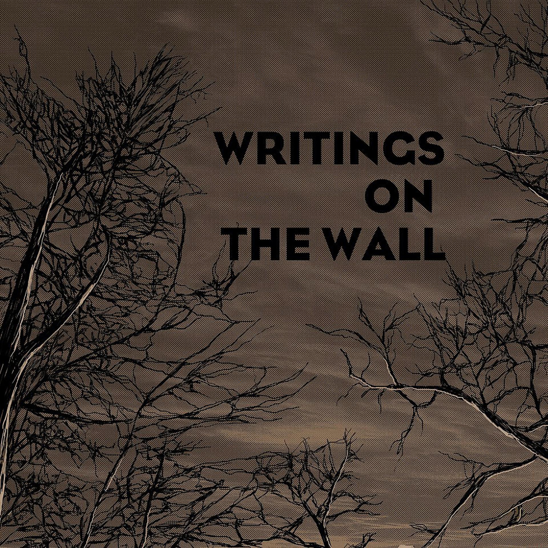 Постер альбома Writings on the Wall (PORN Remix)