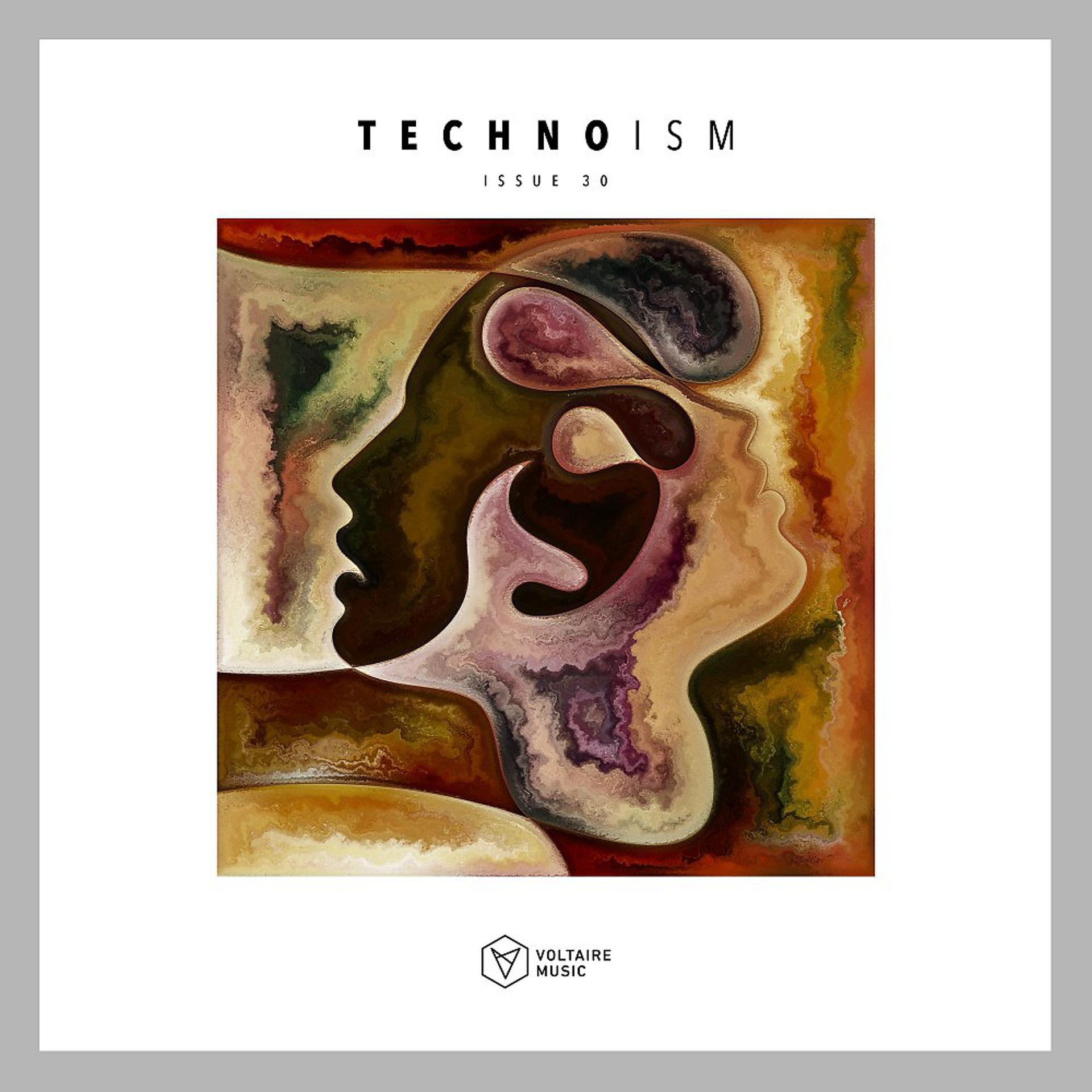 Постер альбома Technoism Issue 30