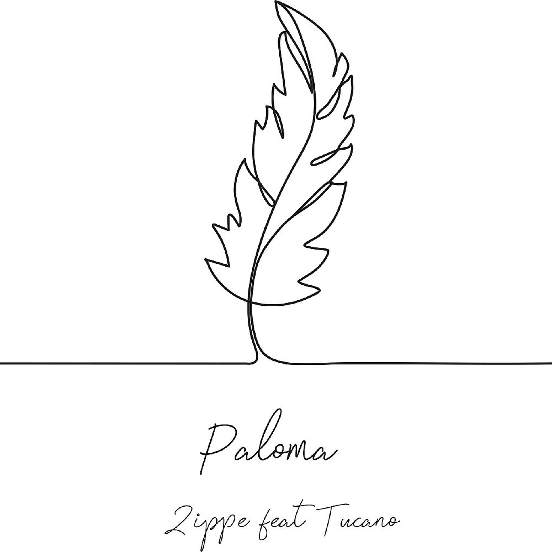 Постер альбома Paloma