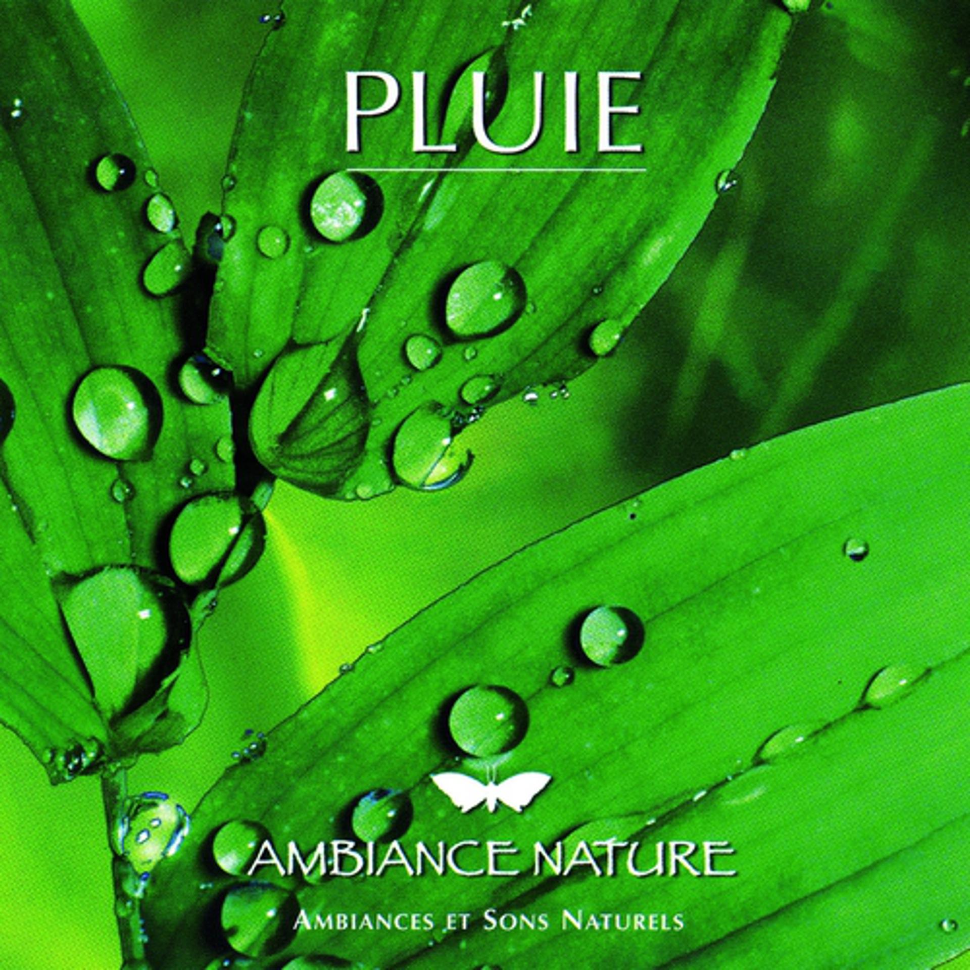 Постер альбома Ambiance Nature Pluie