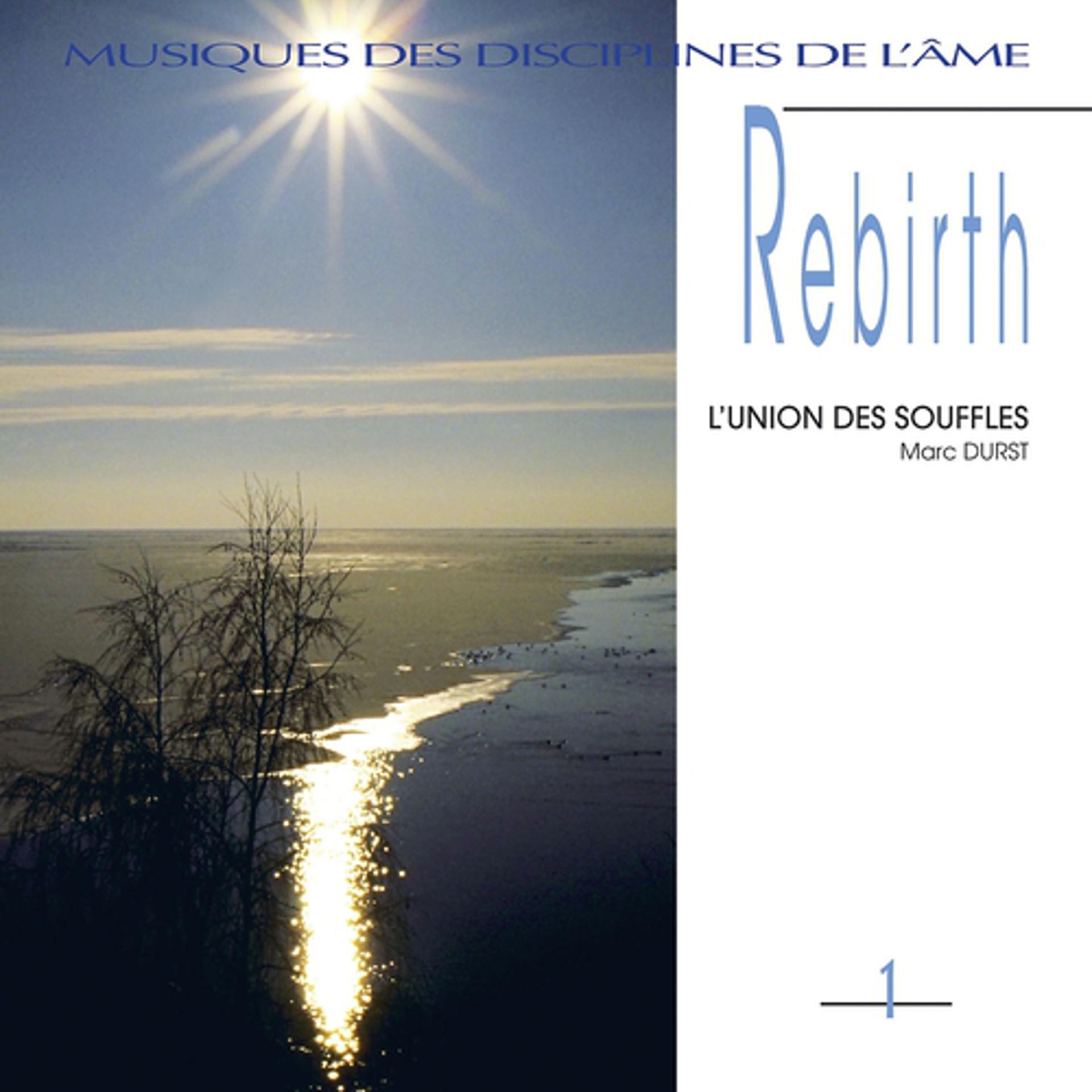 Постер альбома Musiques des disciplines de l'âme: rebirth