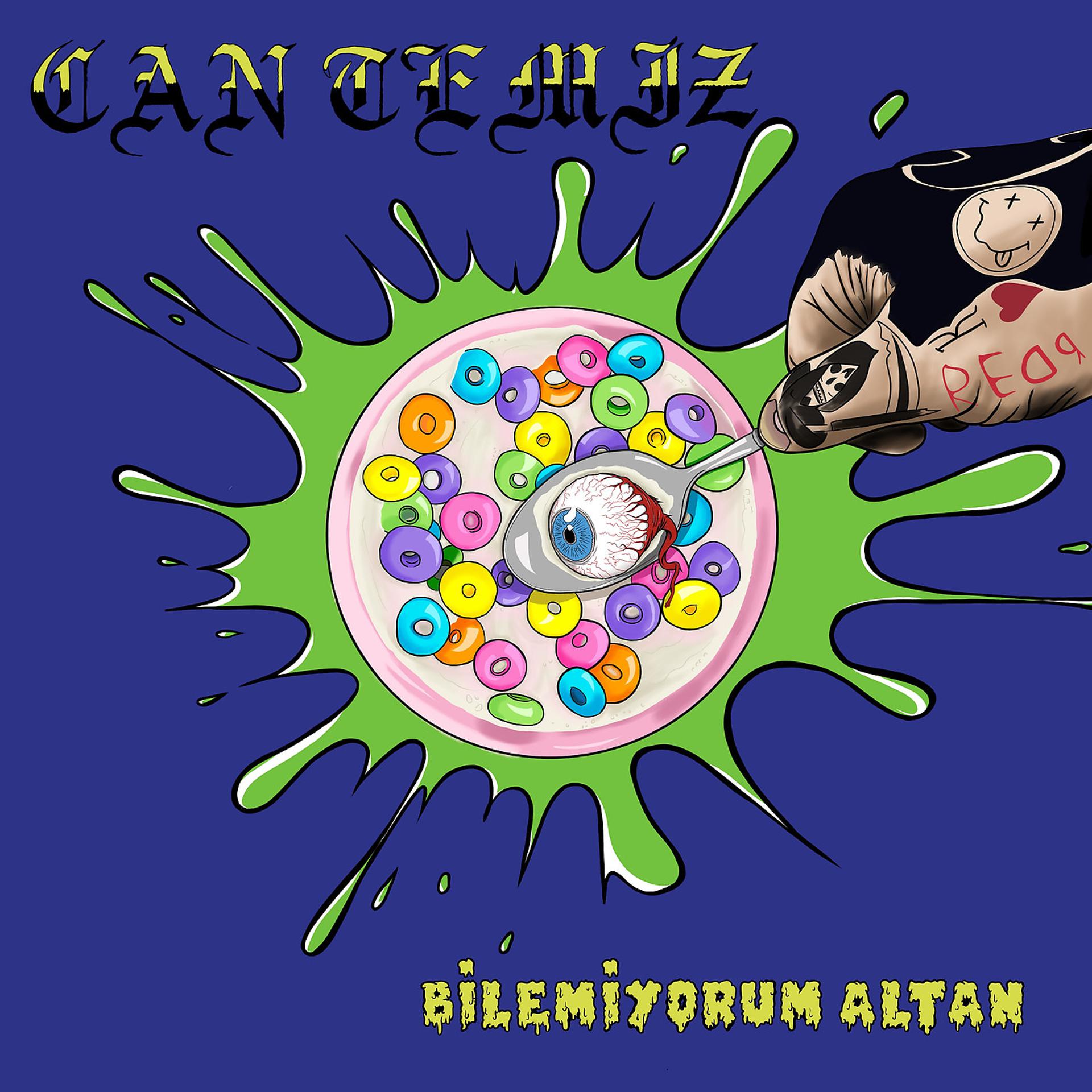 Постер альбома Bilemiyorum Altan