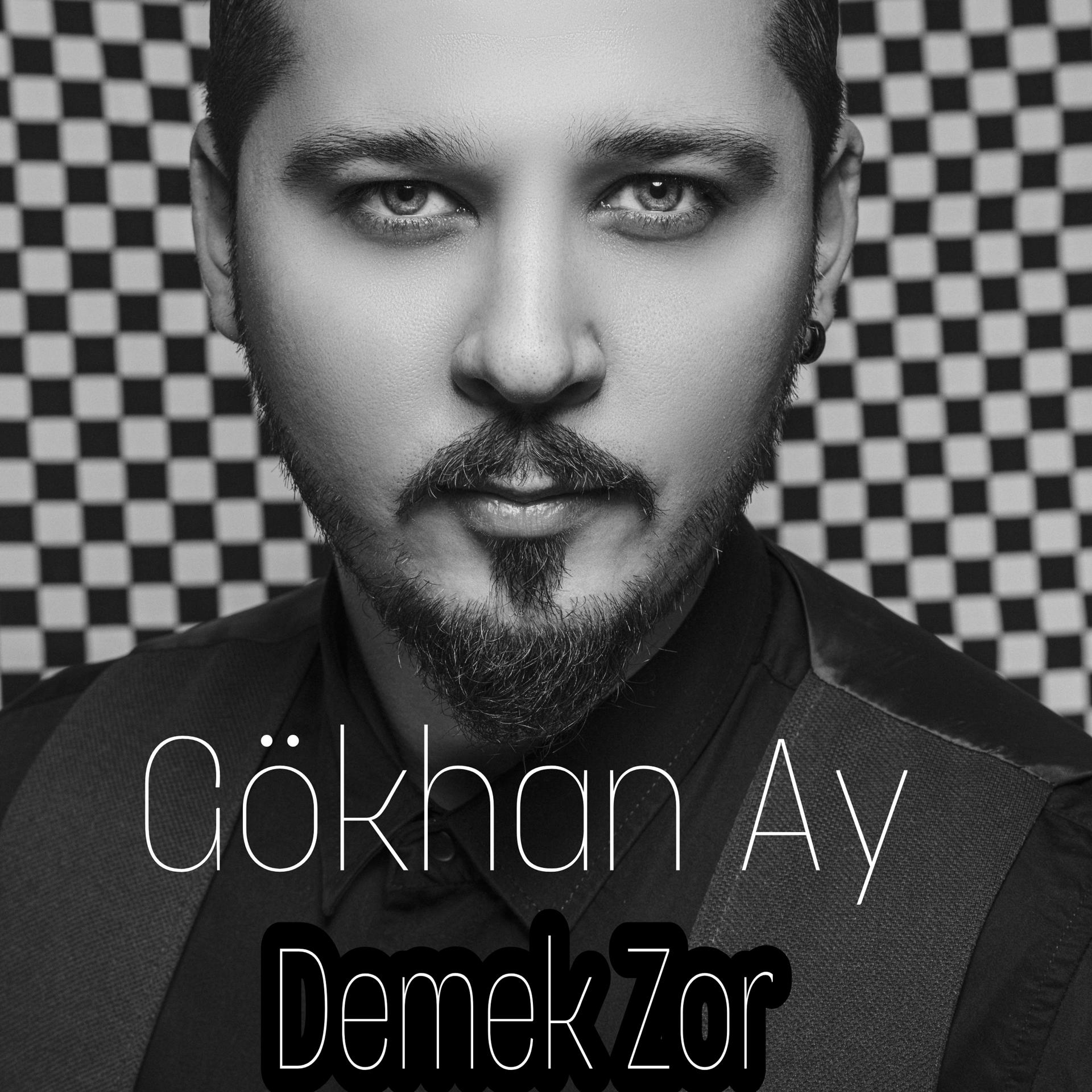 Постер альбома Demek Zor