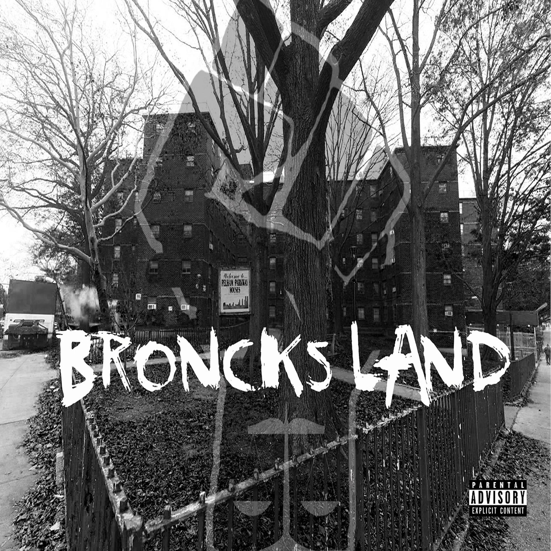 Постер альбома Bronck's Land