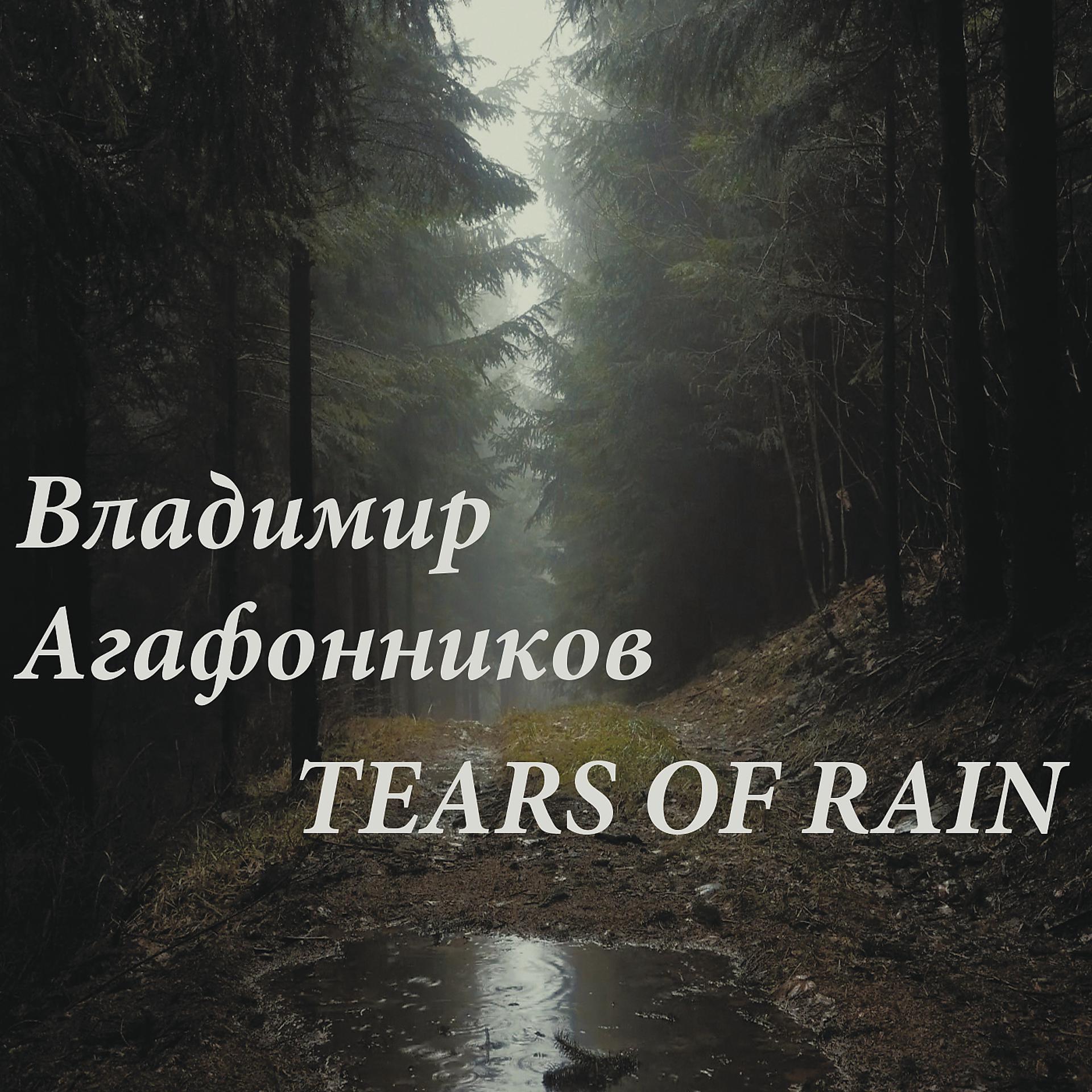 Постер альбома Tears of Rain