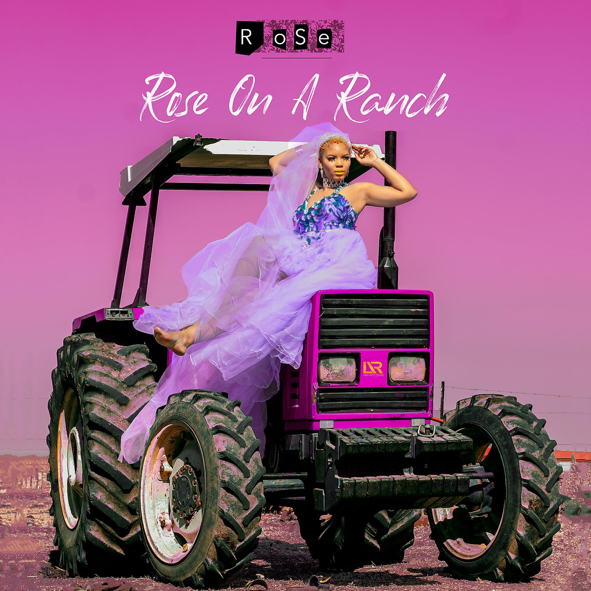 Постер альбома Rose On A Ranch