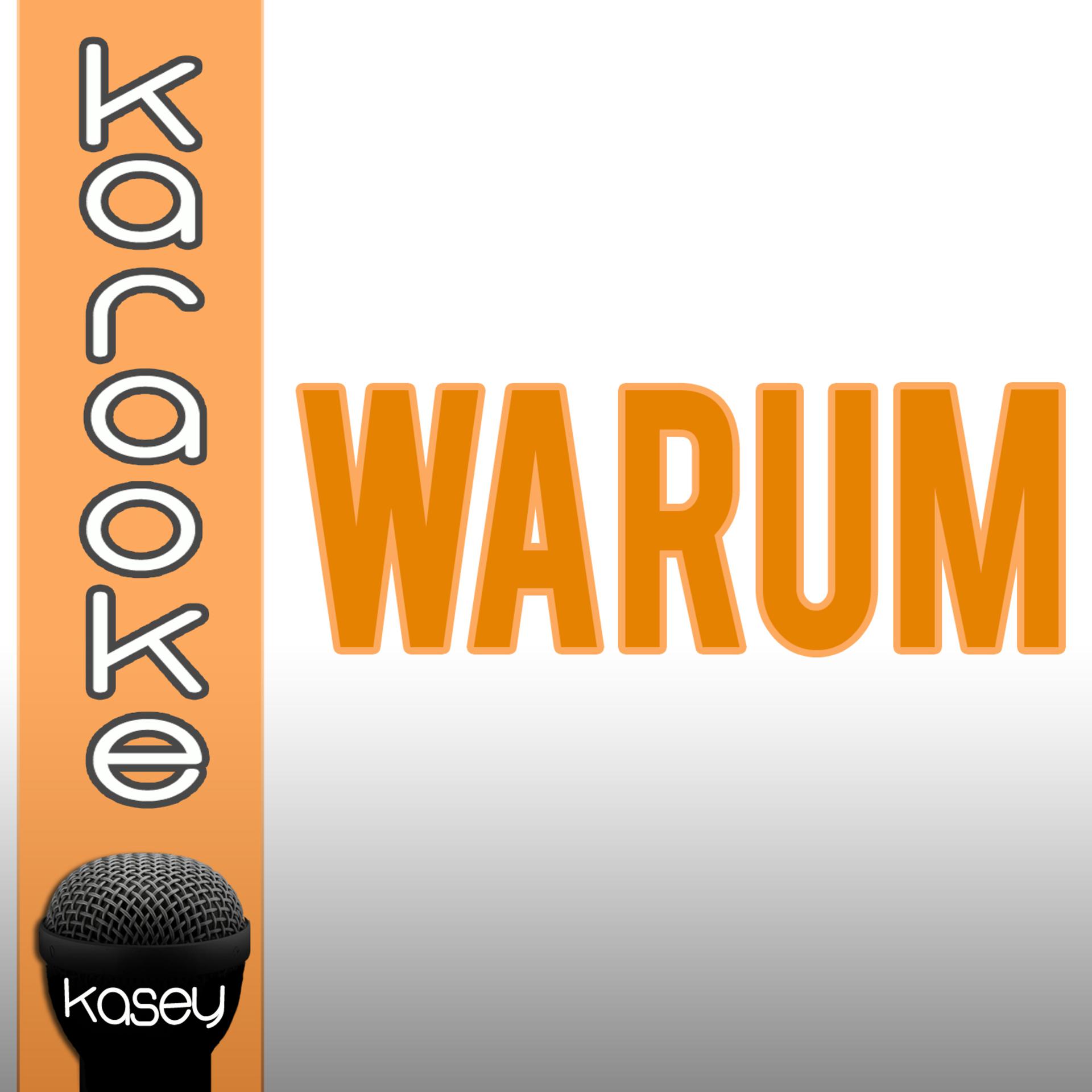 Постер альбома Warum (inkl. Karaoke-Version)