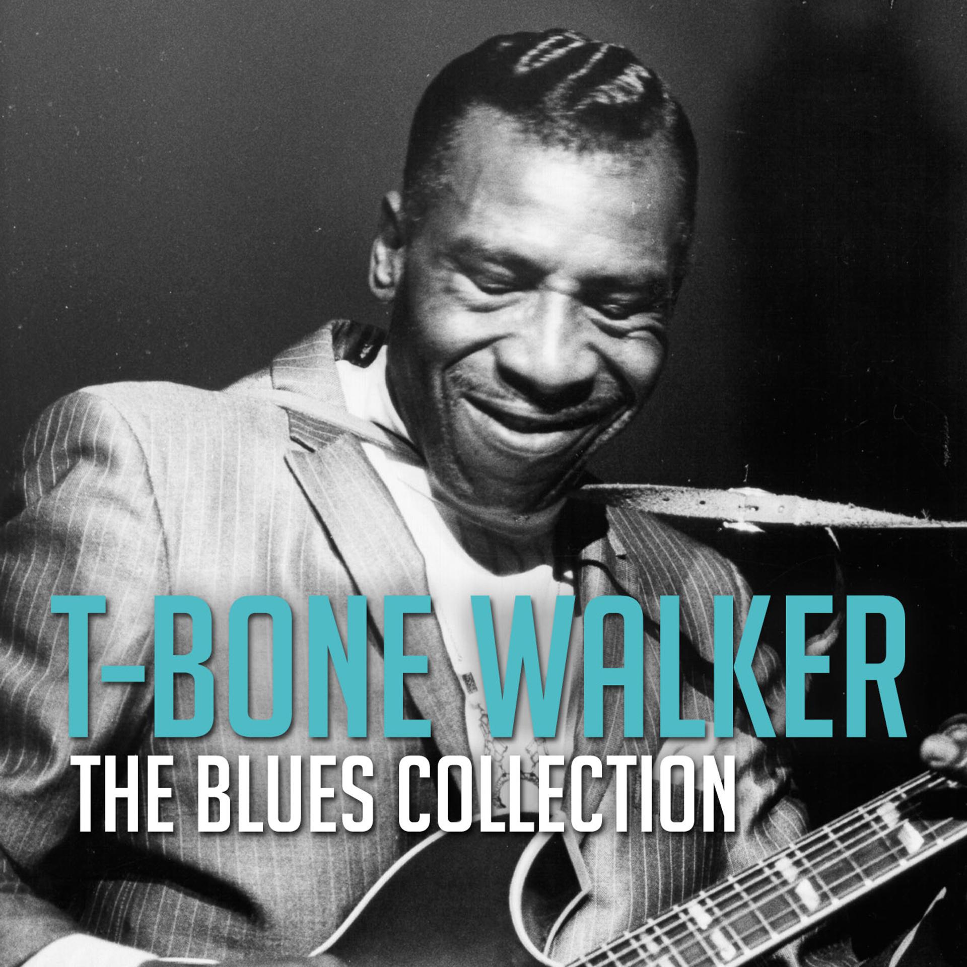 Постер альбома The Blues Collection: Sonny Boy Williamson