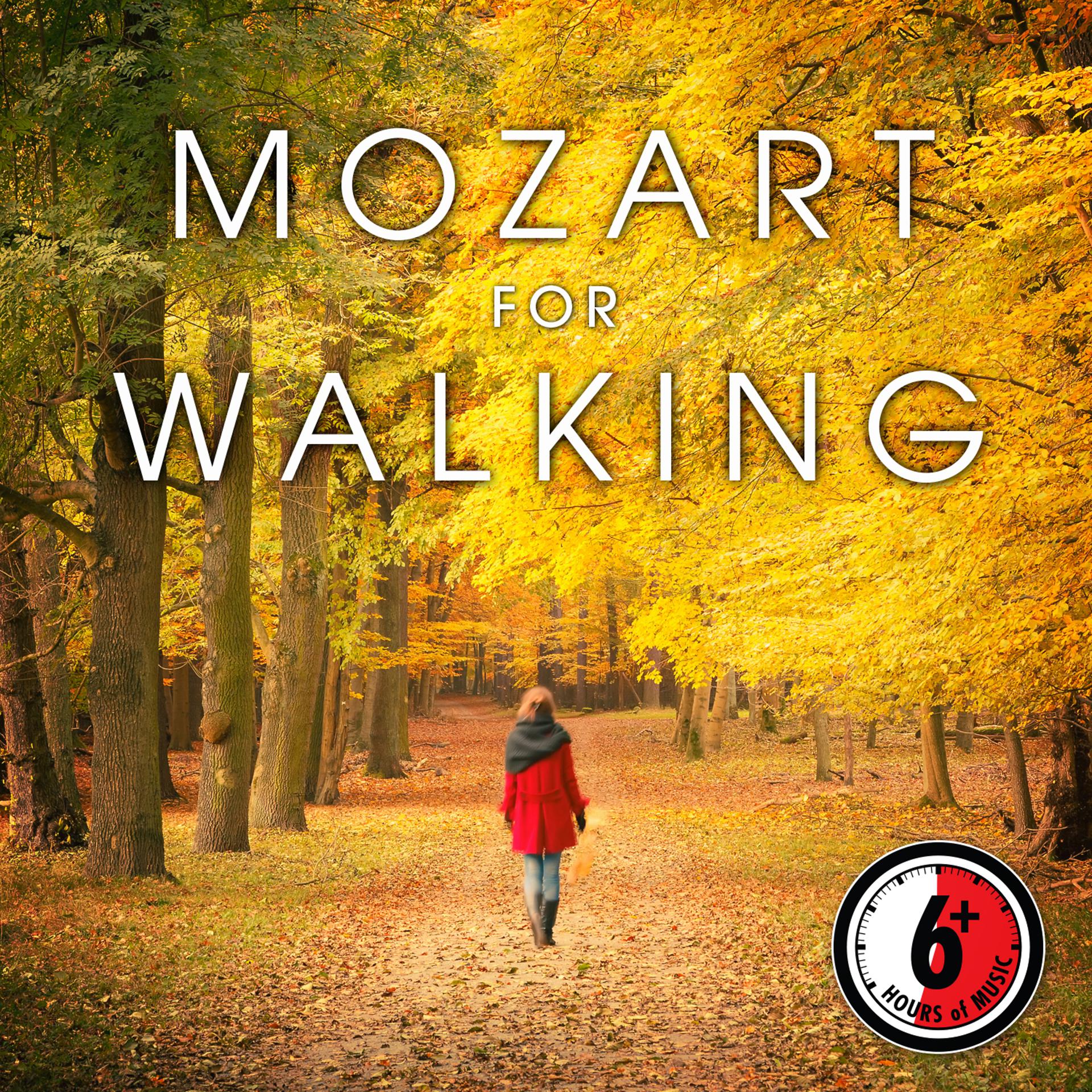 Постер альбома Mozart for Walking