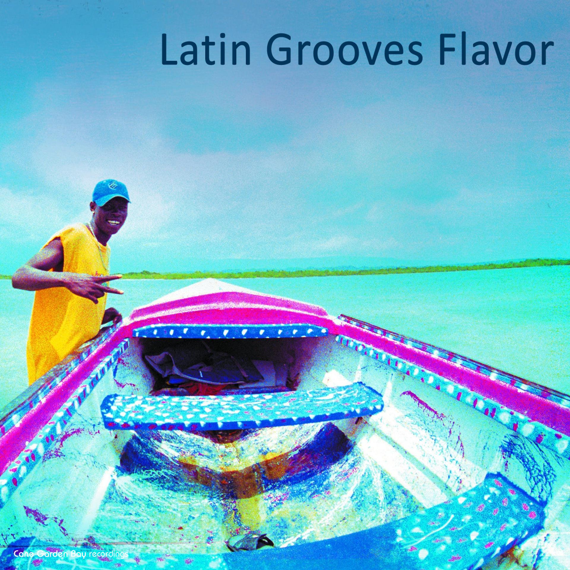 Постер альбома Latin Grooves Flavor