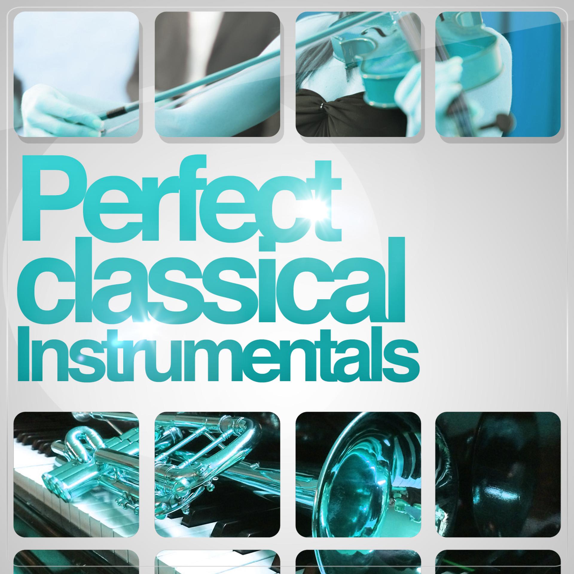 Постер альбома Perfect Classical Instrumentals