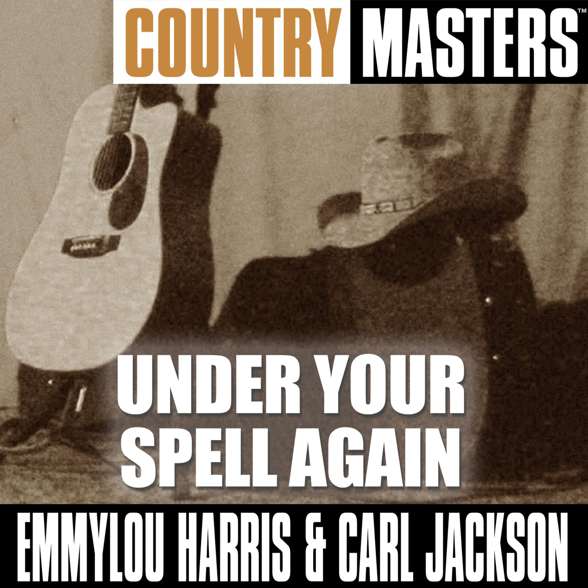 Постер альбома Country Masters: Under Your Spell Again