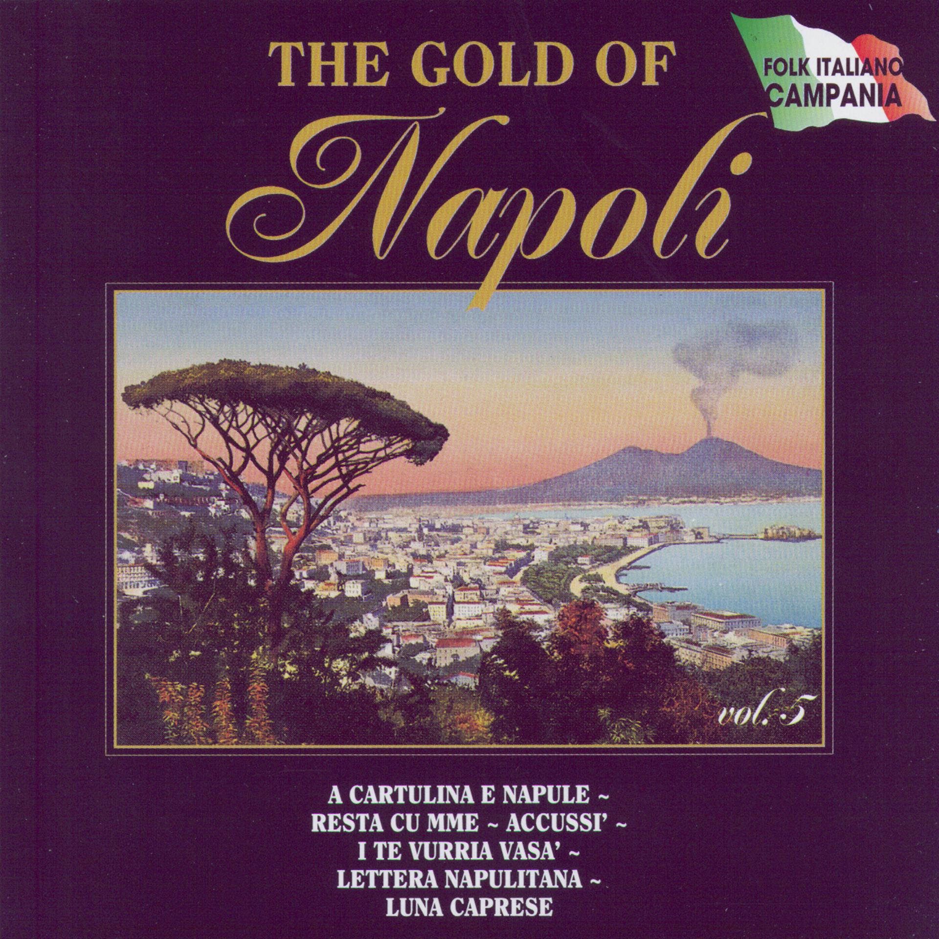 Постер альбома The Gold Of Napoli Vol 5
