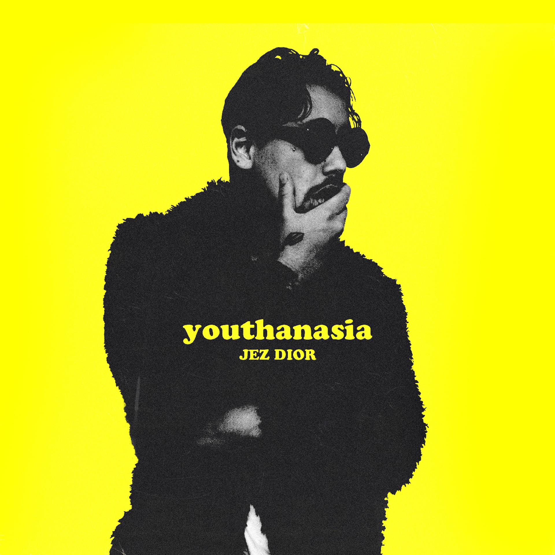 Постер альбома Youthanasia