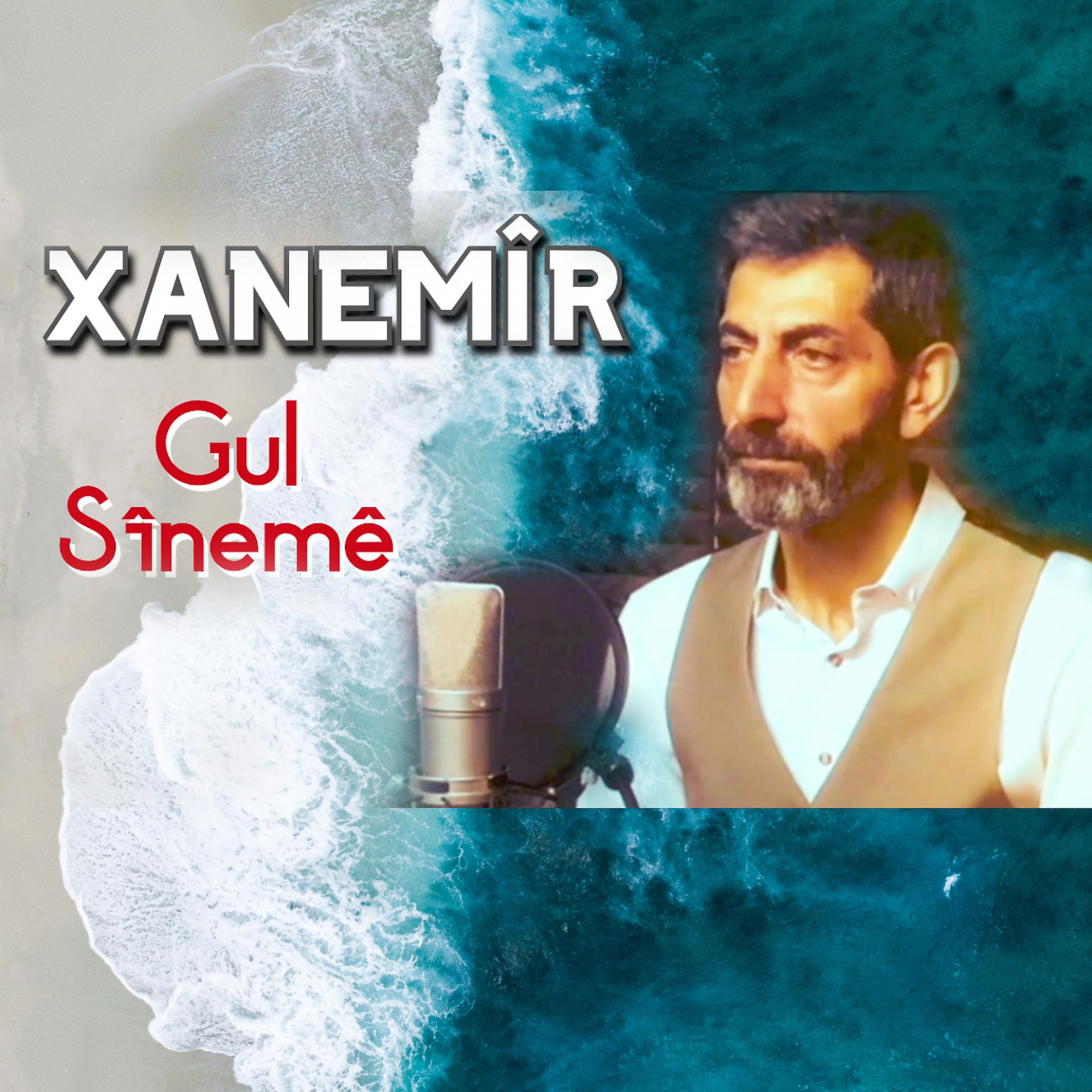 Постер альбома Gul Sînemê