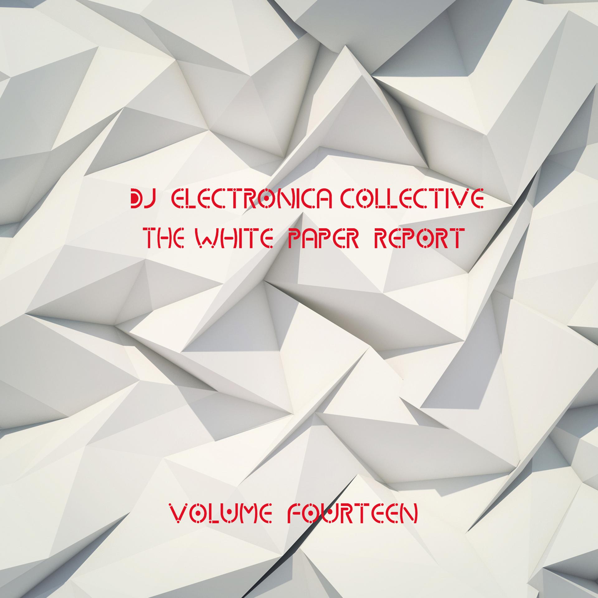 Постер альбома DJ Electronica Collective: The White Paper, Vol. 14