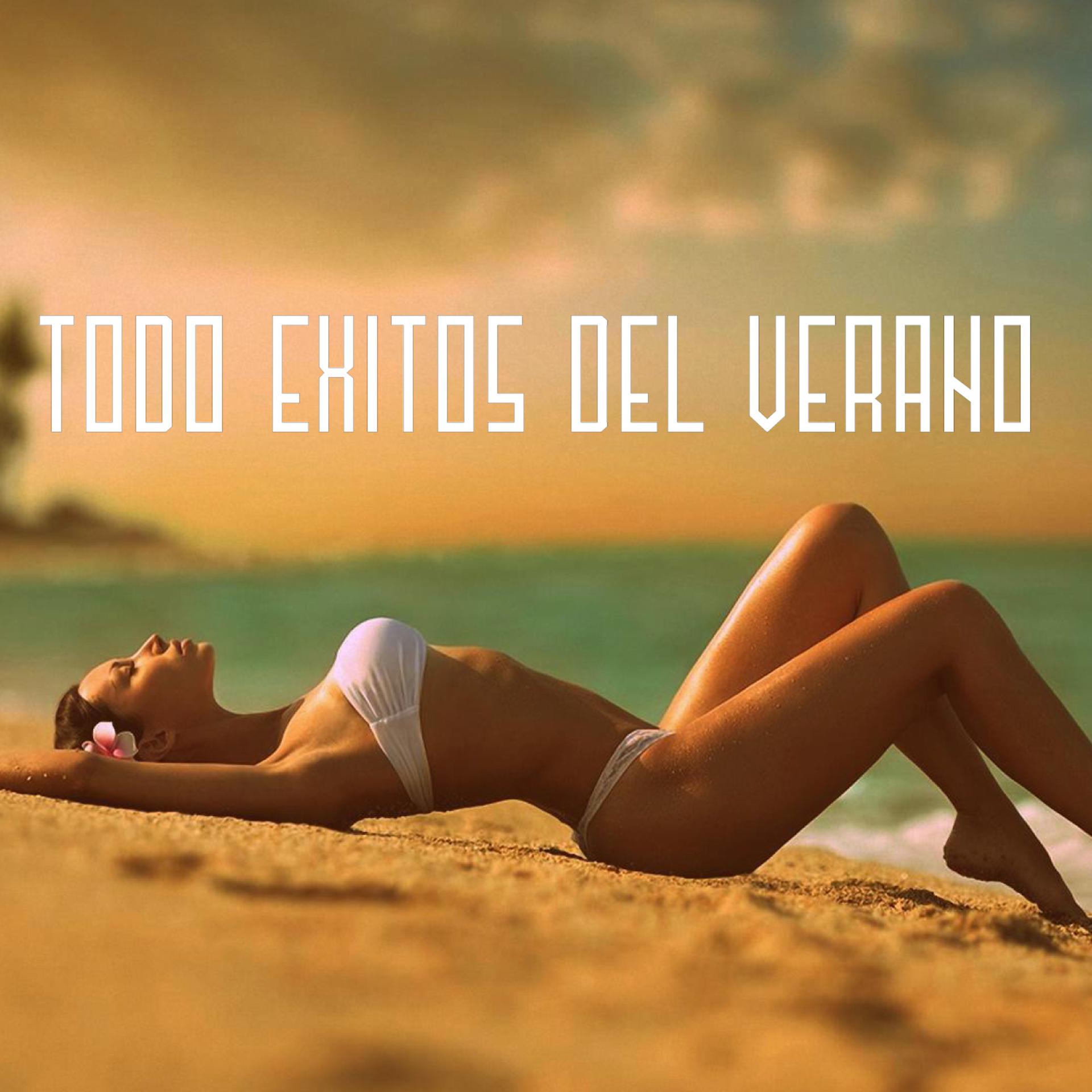 Постер альбома Todo Éxitos del Verano