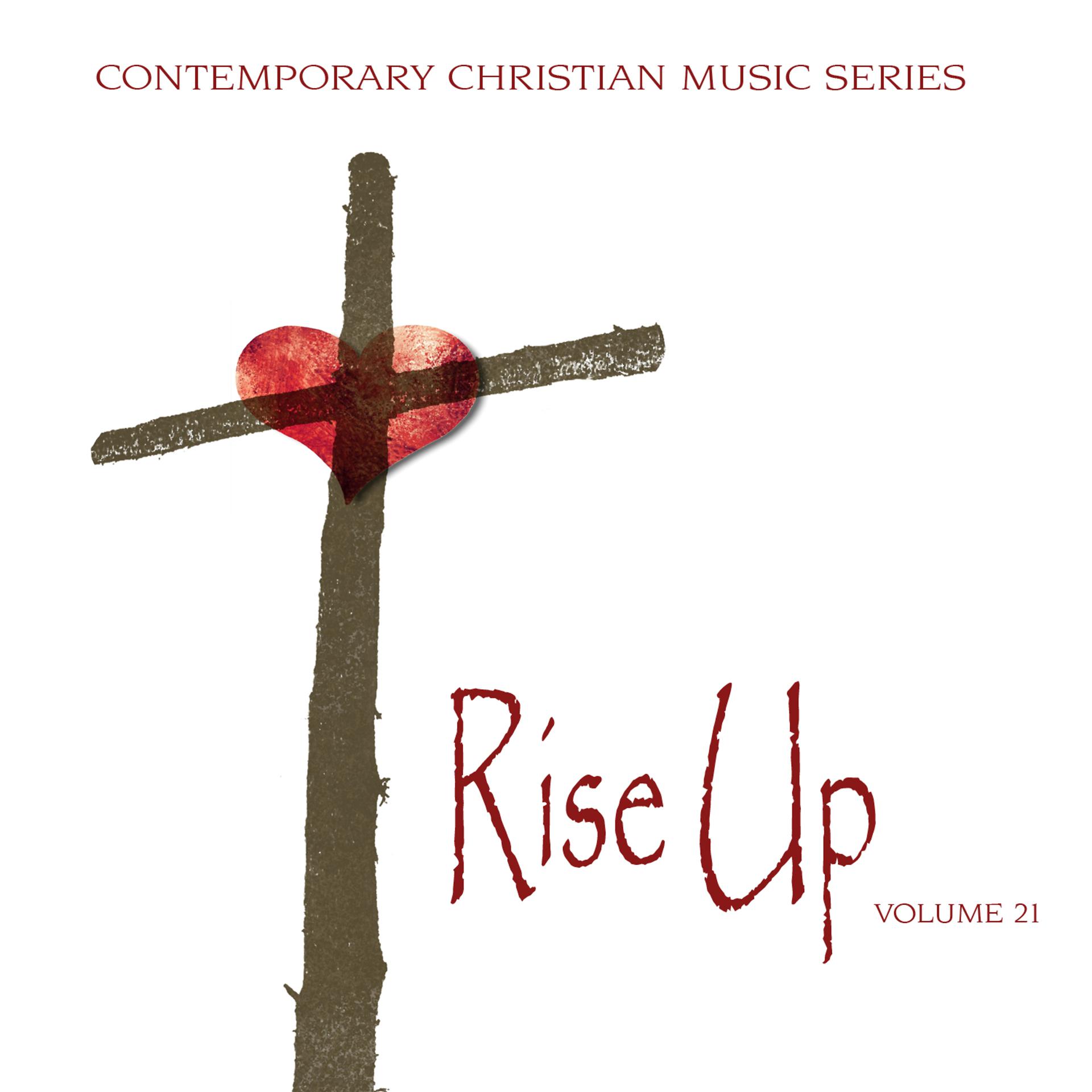 Постер альбома Contemporary Christian Music Series: Rise Up, Vol. 21