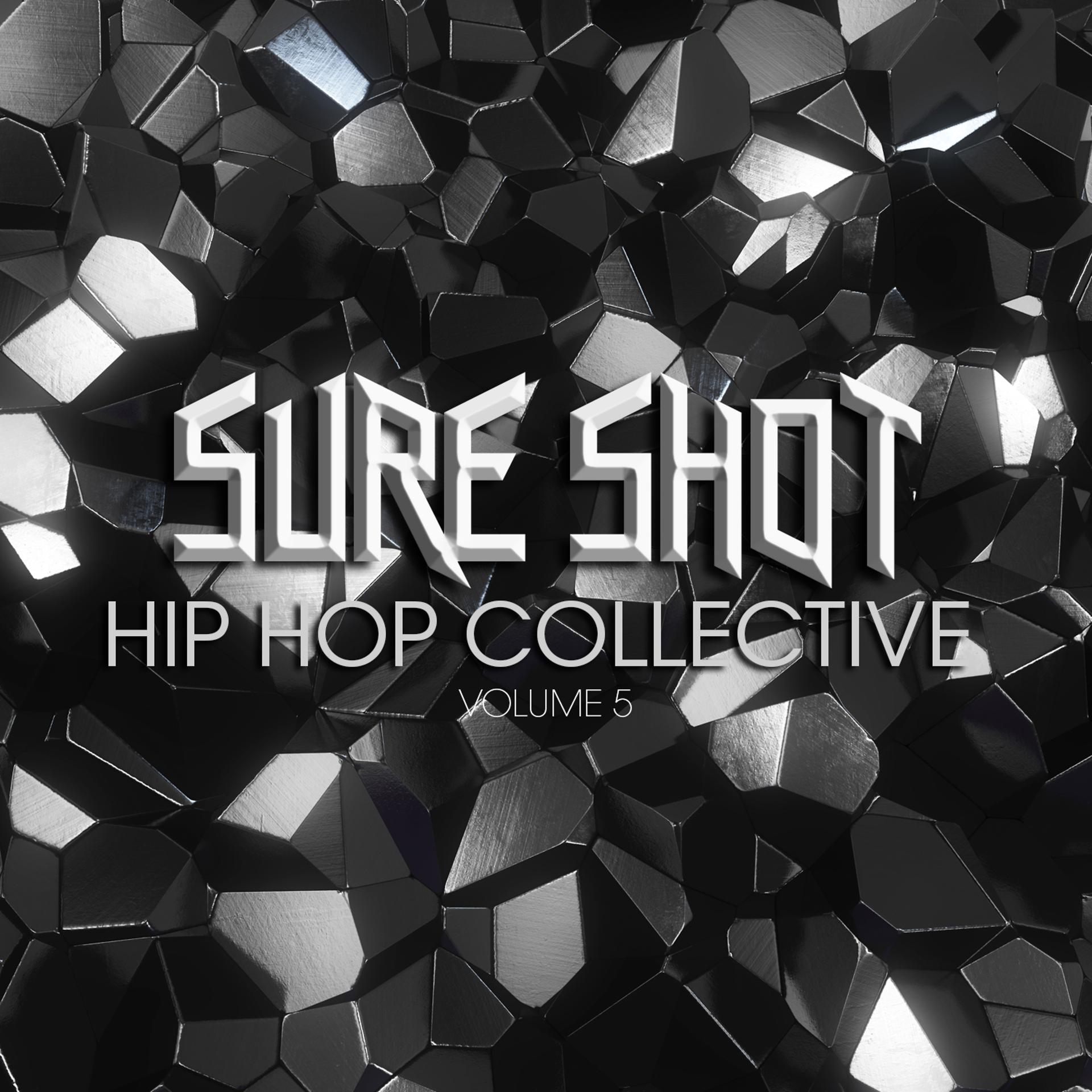 Постер альбома Sure Shot: Hip Hop Collective, Vol. 5