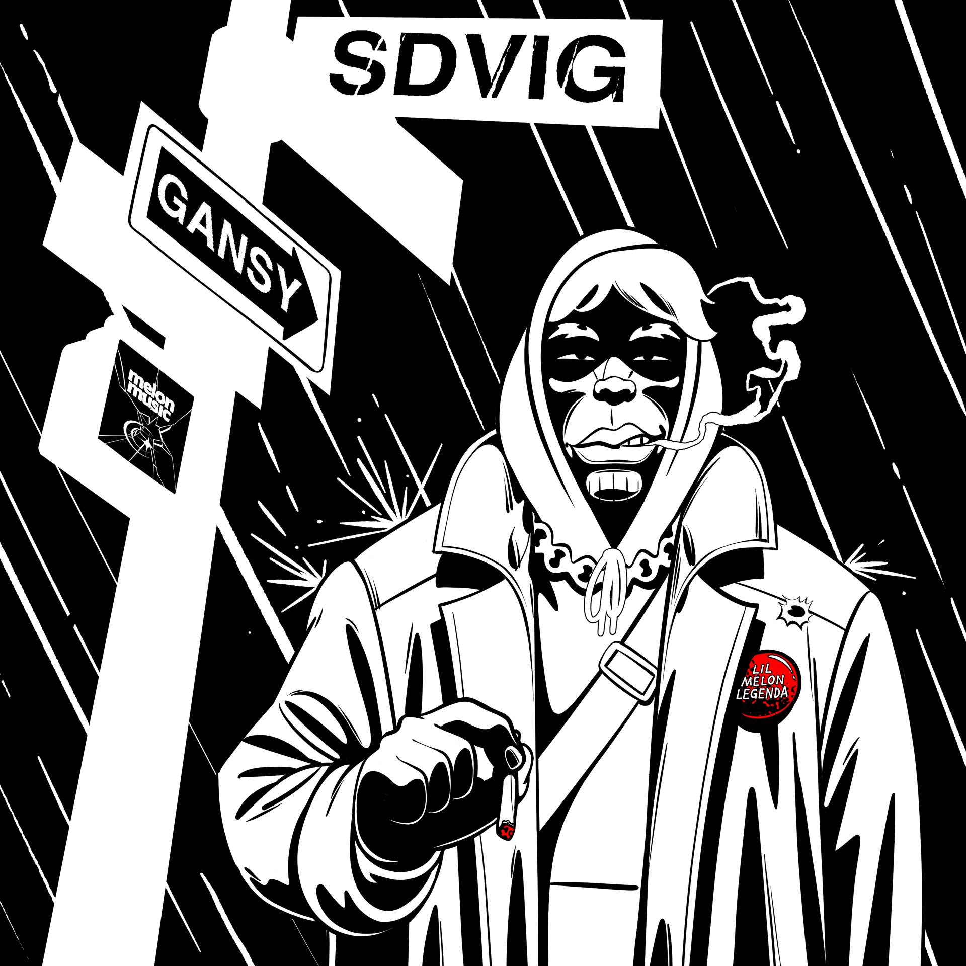 Постер альбома SDVIG