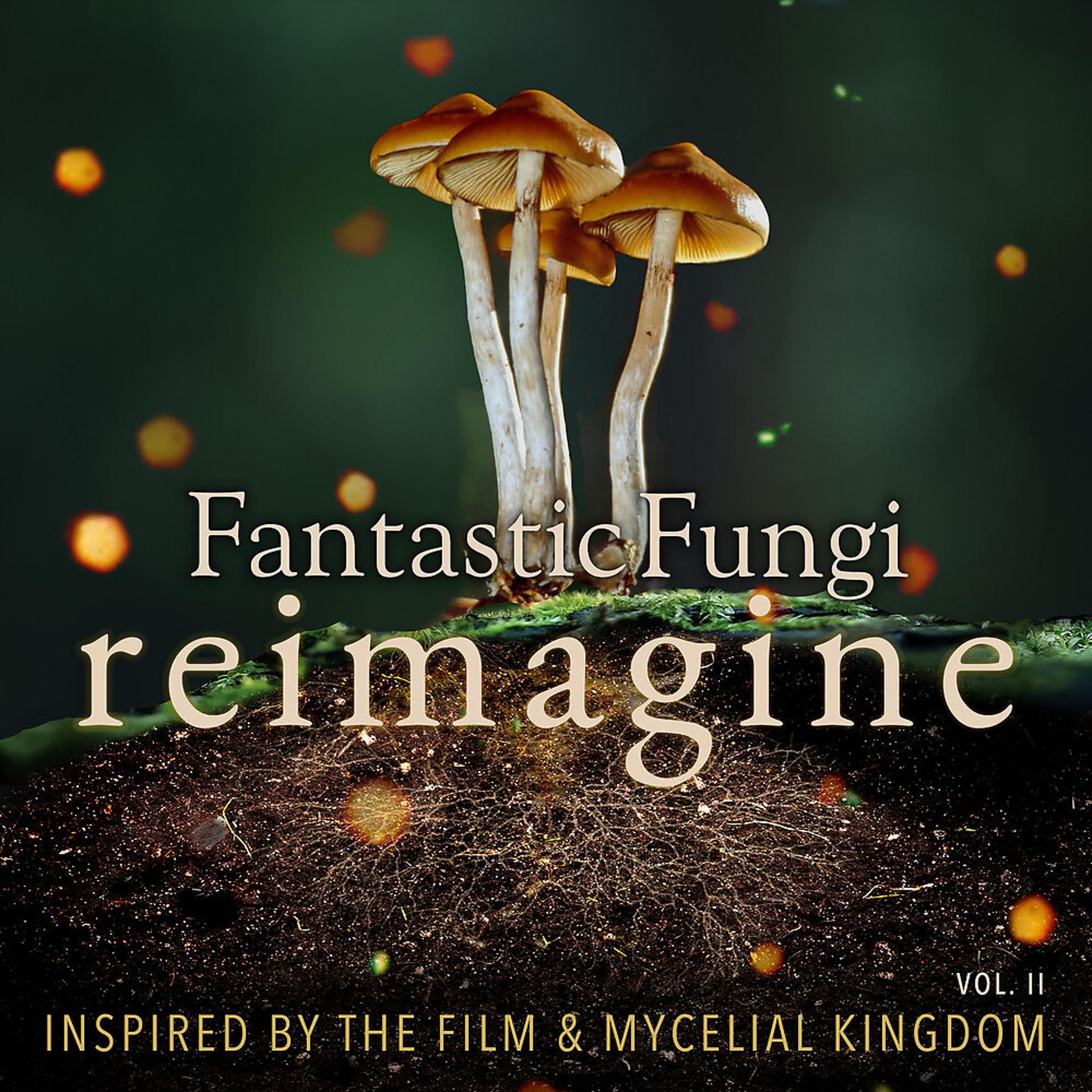 Постер альбома Fantastic Fungi: Reimagine, Vol. II