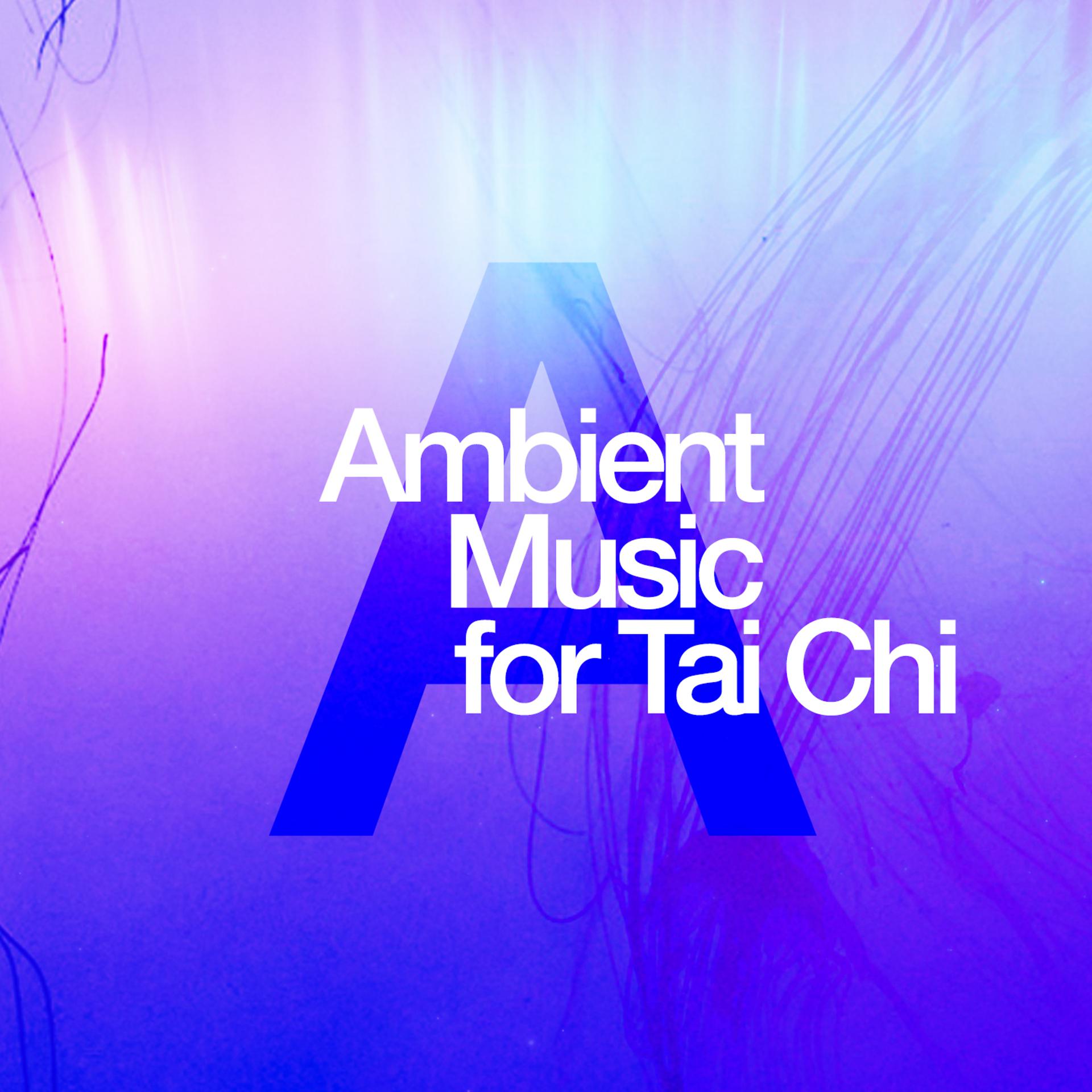 Постер альбома Ambient Music for Tai Chi