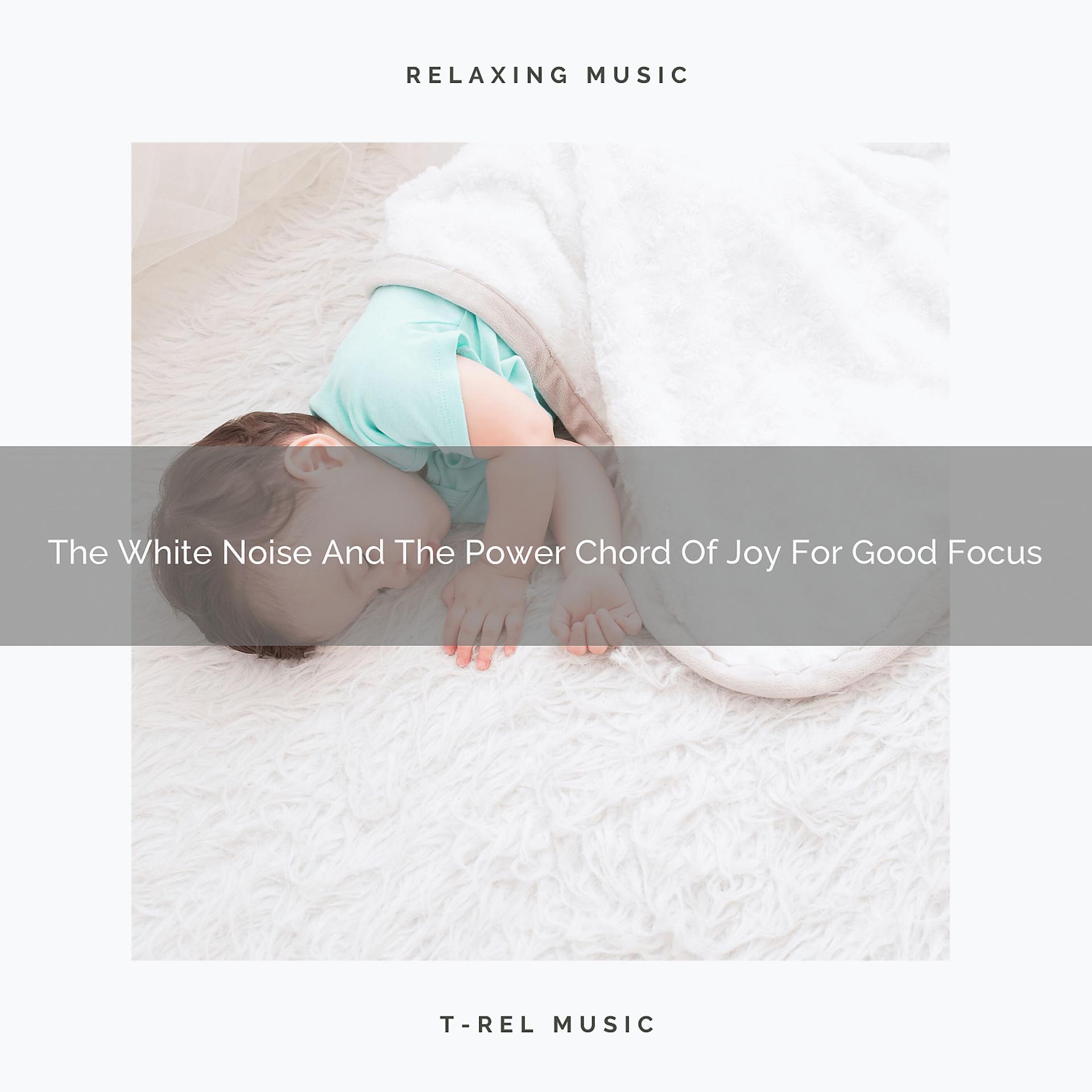 Постер альбома The White Noise And The Power Chord Of Joy For Good Focus