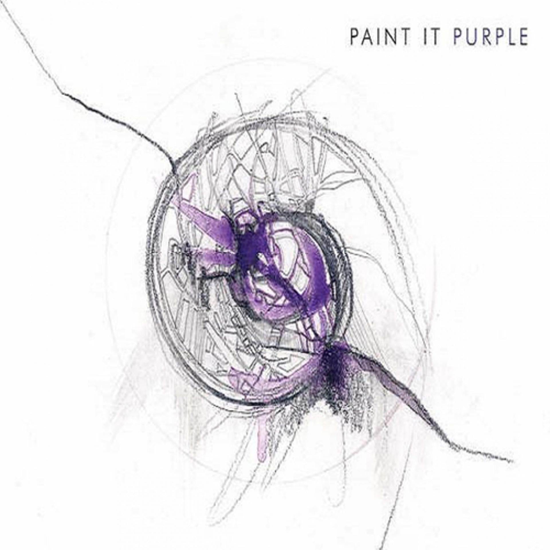 Постер альбома Paint It Purple