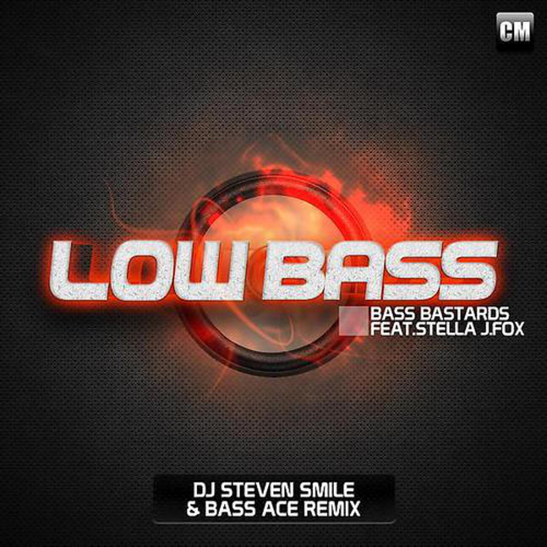 Постер альбома Low Bass Remixes