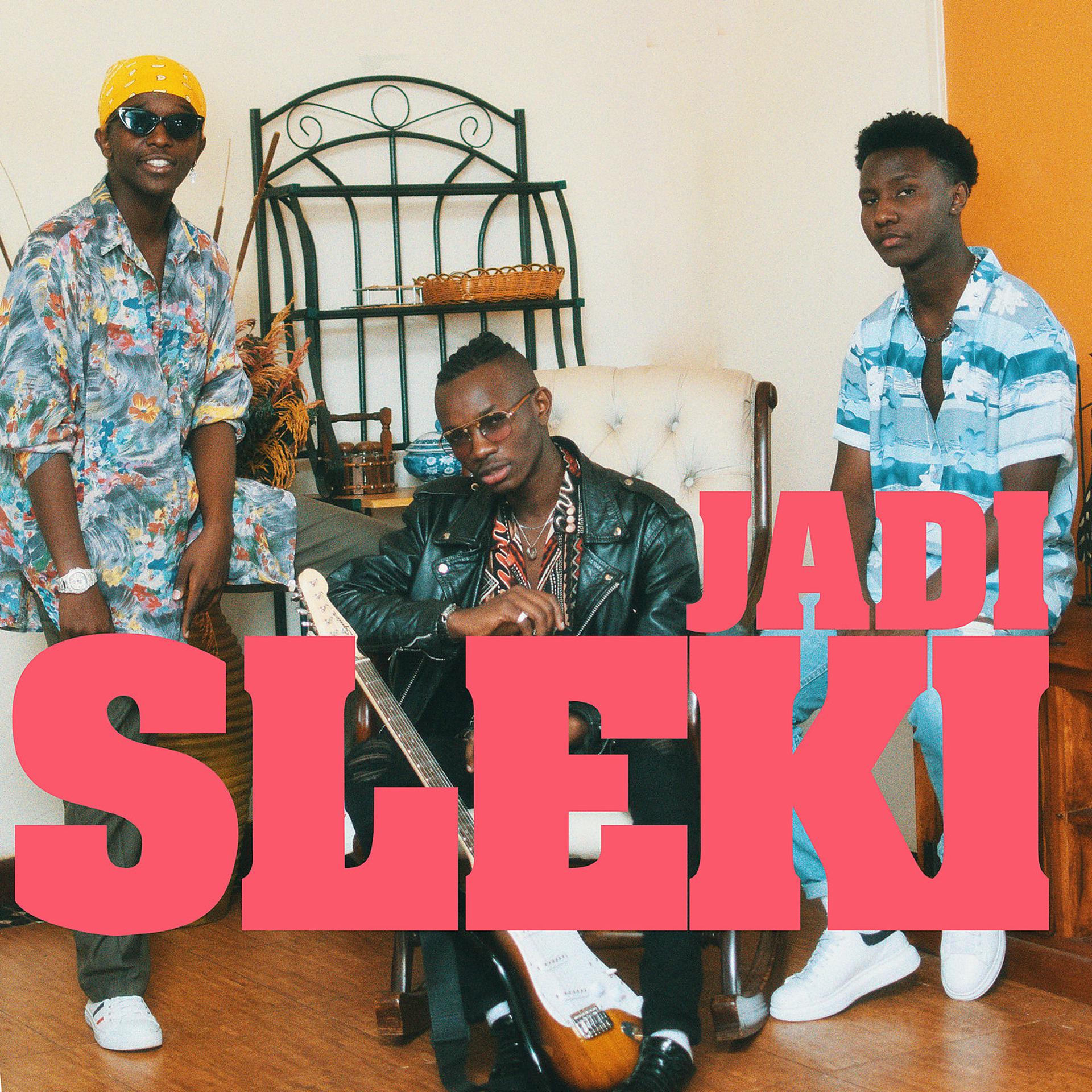 Постер альбома Sleki