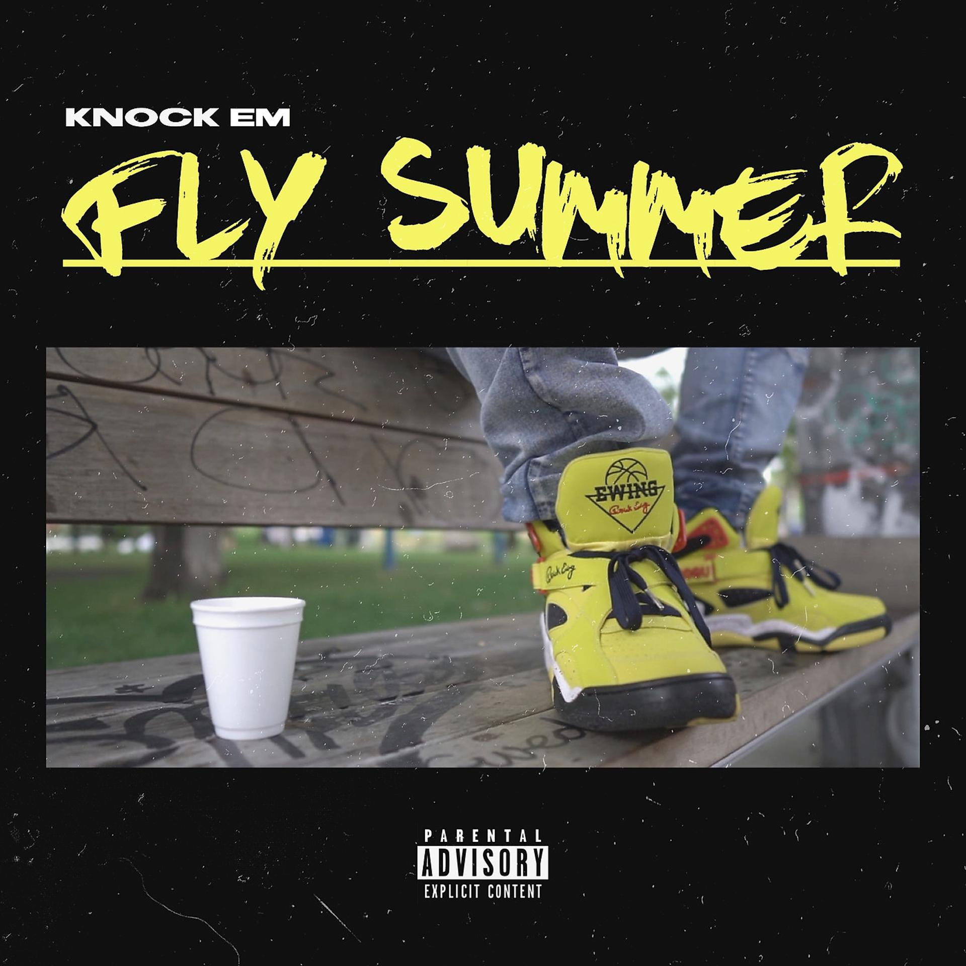 Постер альбома Fly Summer