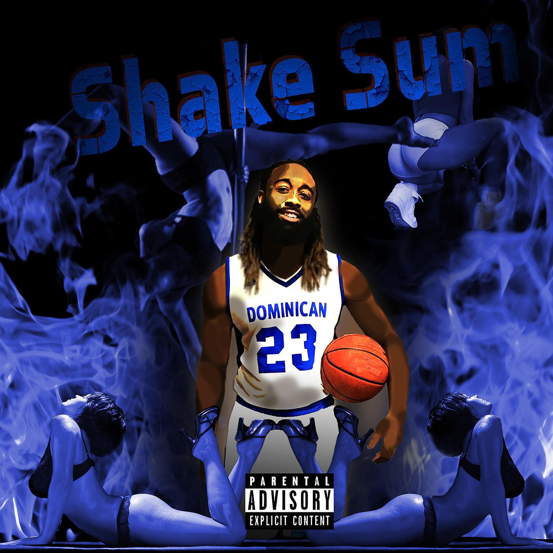 Постер альбома Shake Sum
