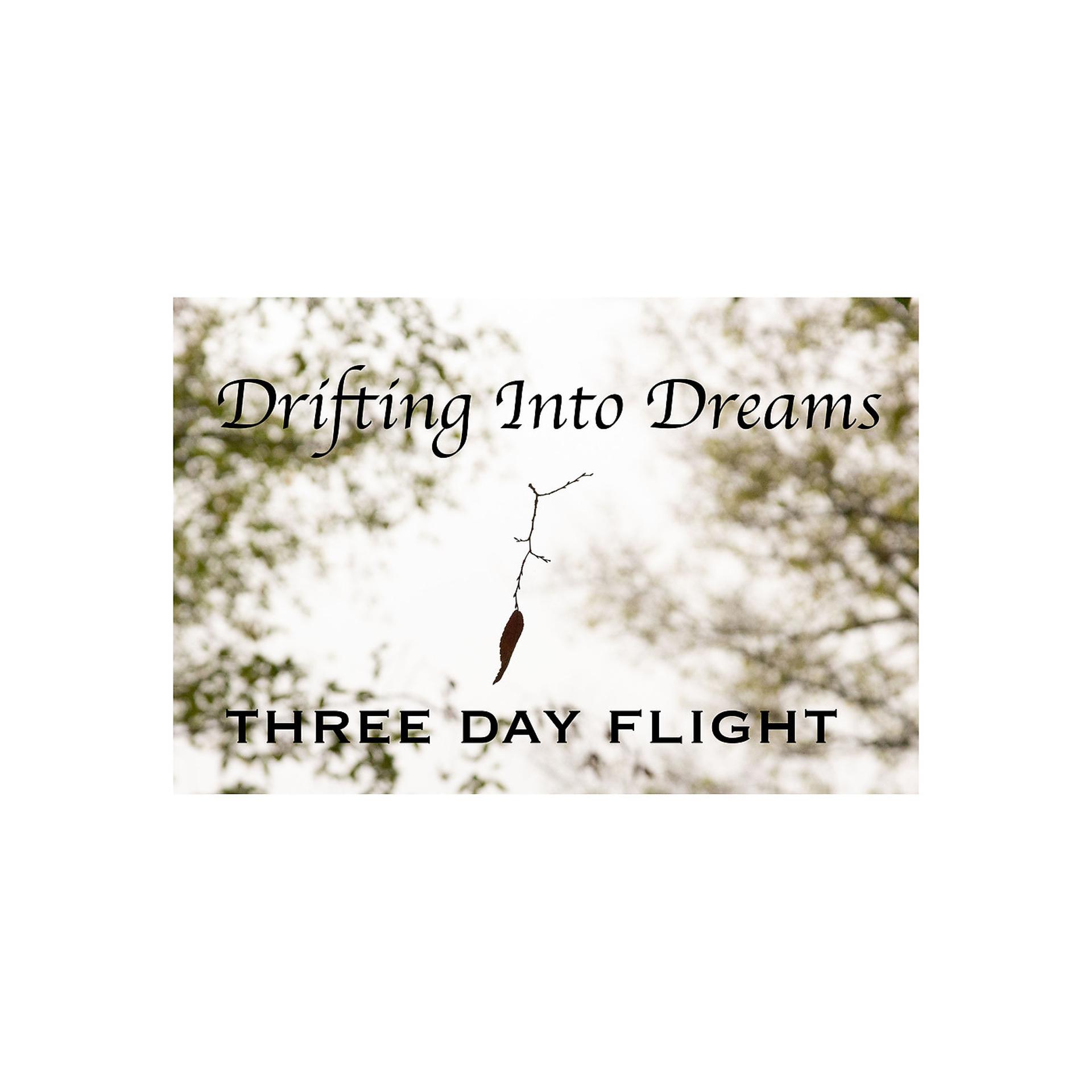 Постер альбома Drifting into Dreams
