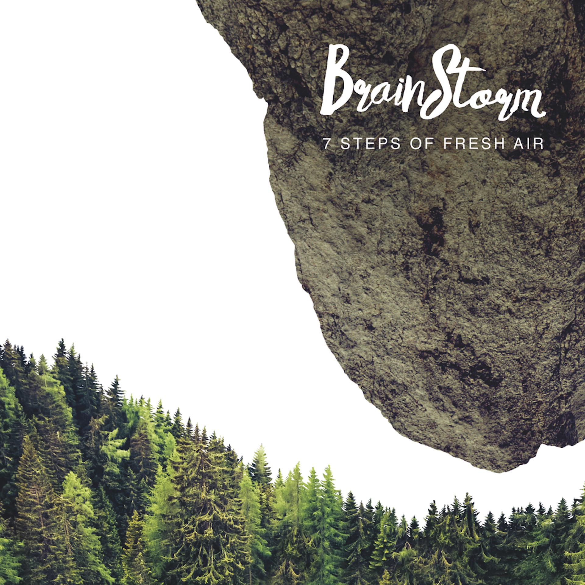 Постер к треку BrainStorm - Snow Falls in Reverse