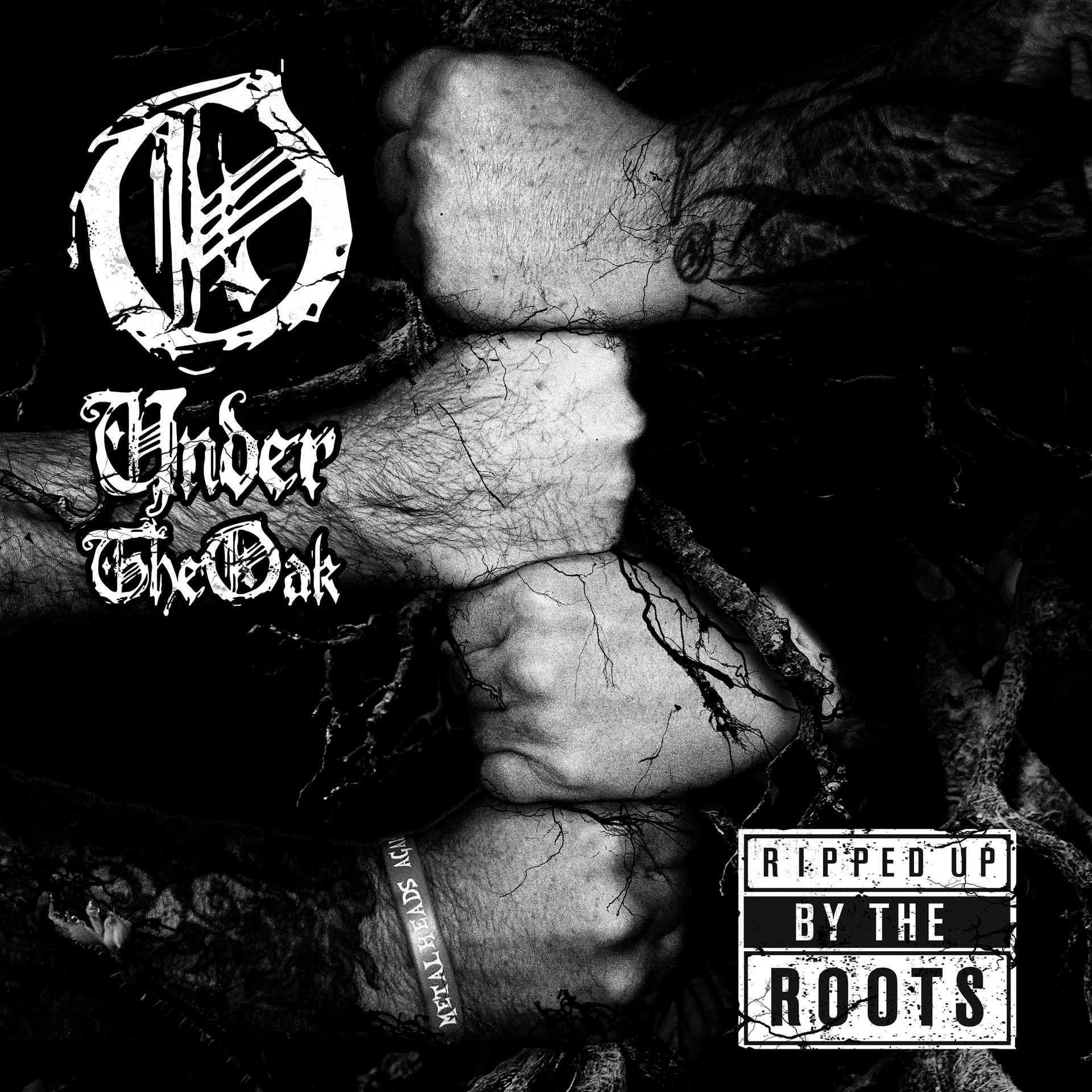 Постер альбома Ripped up by the Roots