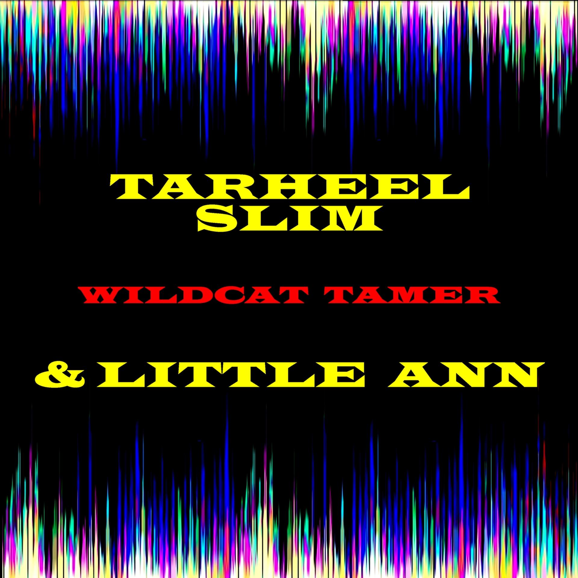 Постер альбома Wildcat Tamer