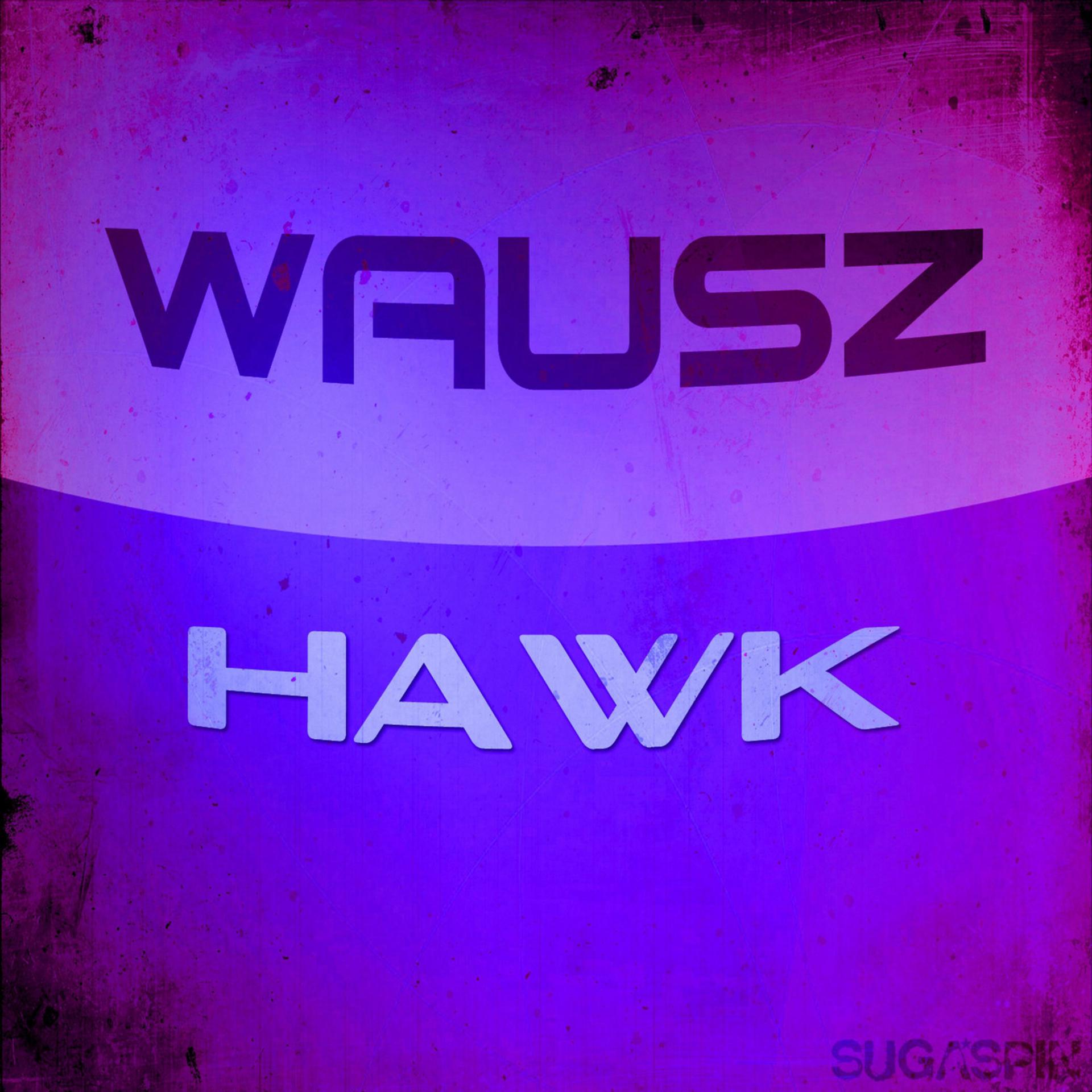 Постер альбома Hawk
