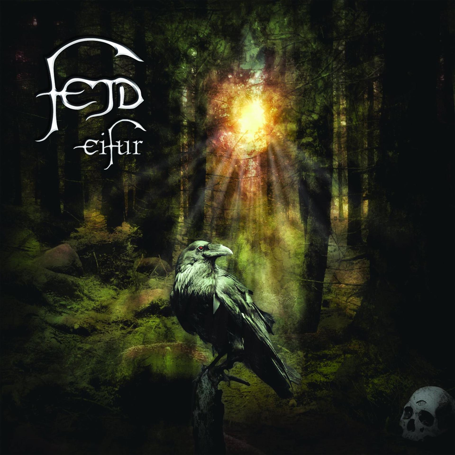 Постер альбома Eifur