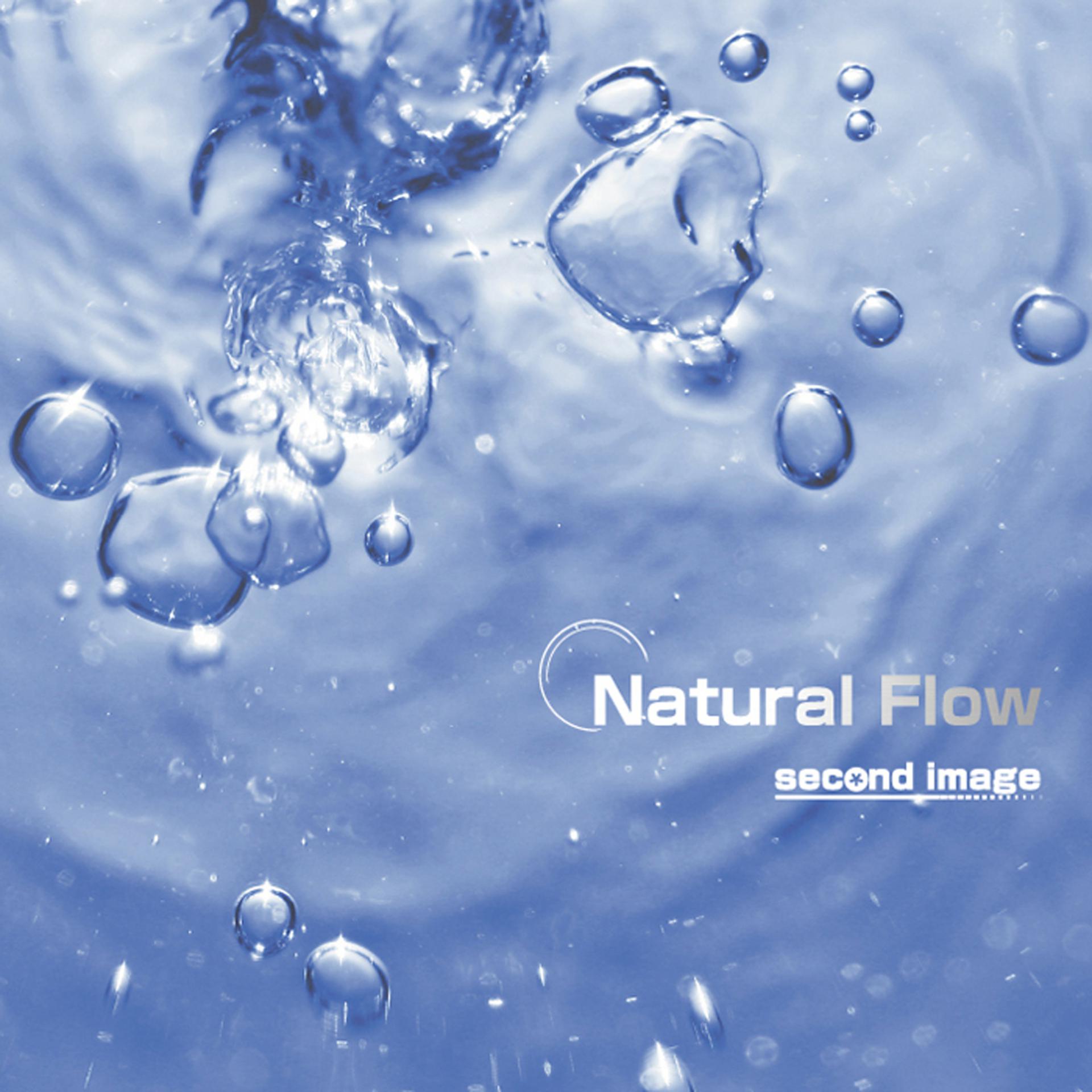 Постер альбома Natural Flow