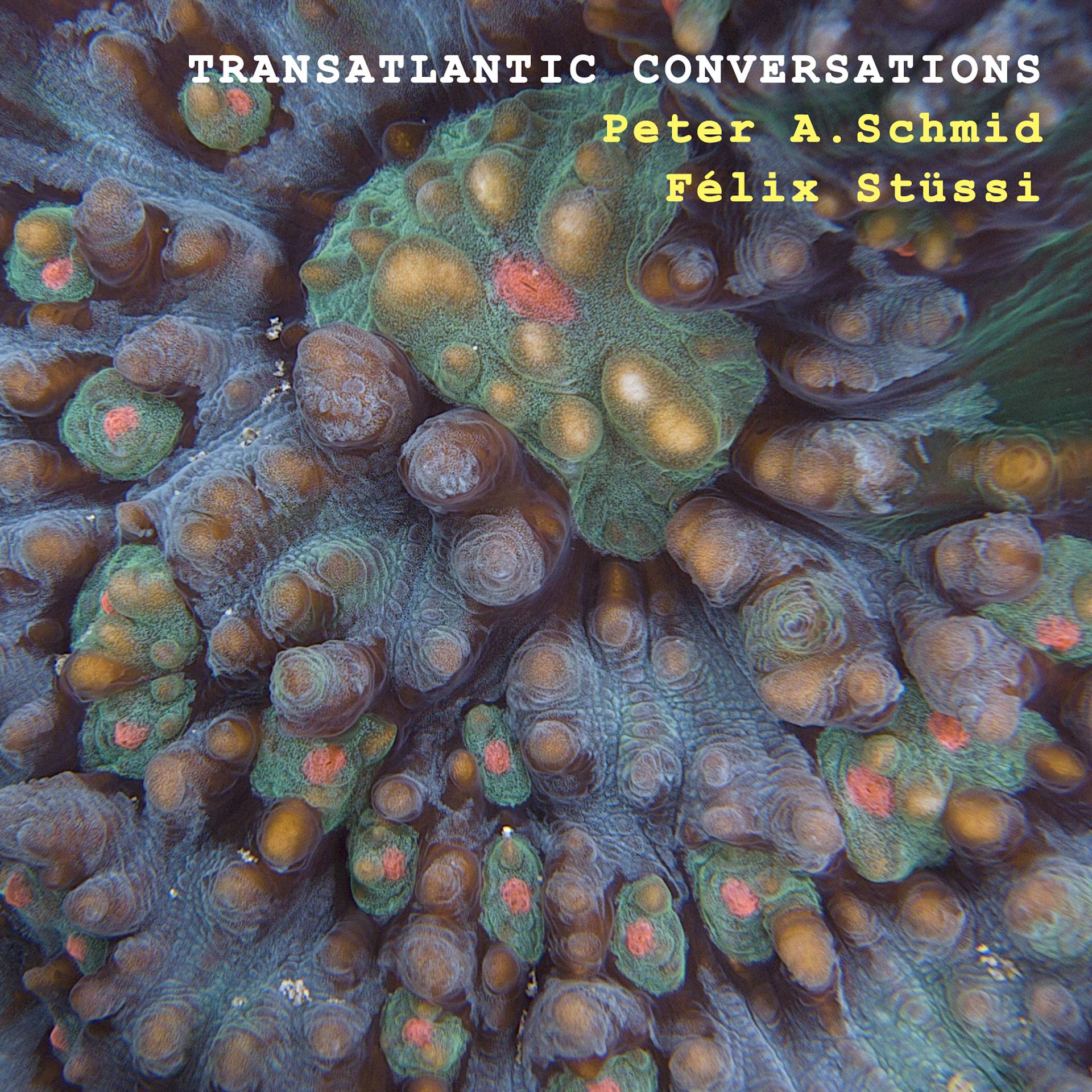 Постер альбома Transatlantic Conversations