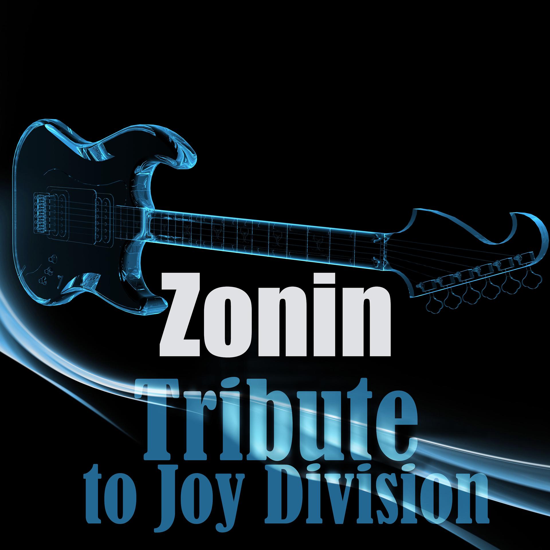 Постер альбома Tribute to Joy Division