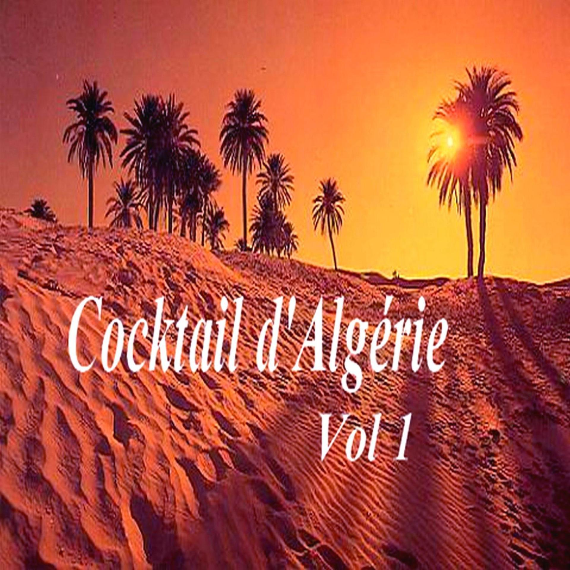 Постер альбома Cocktail d'Algérie, Vol. 1