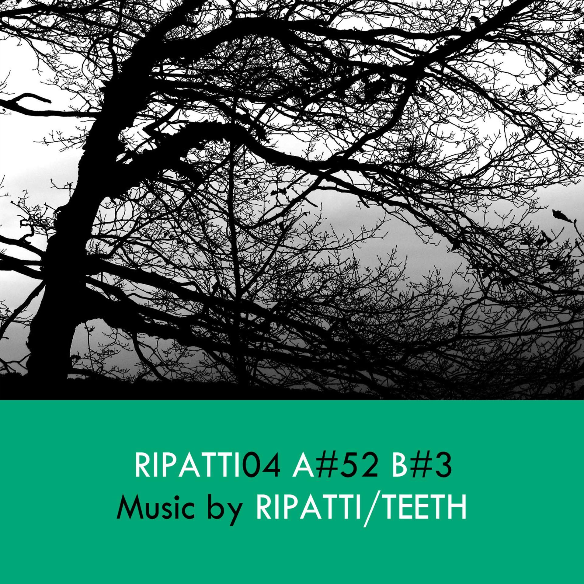 Постер альбома Ripatti04