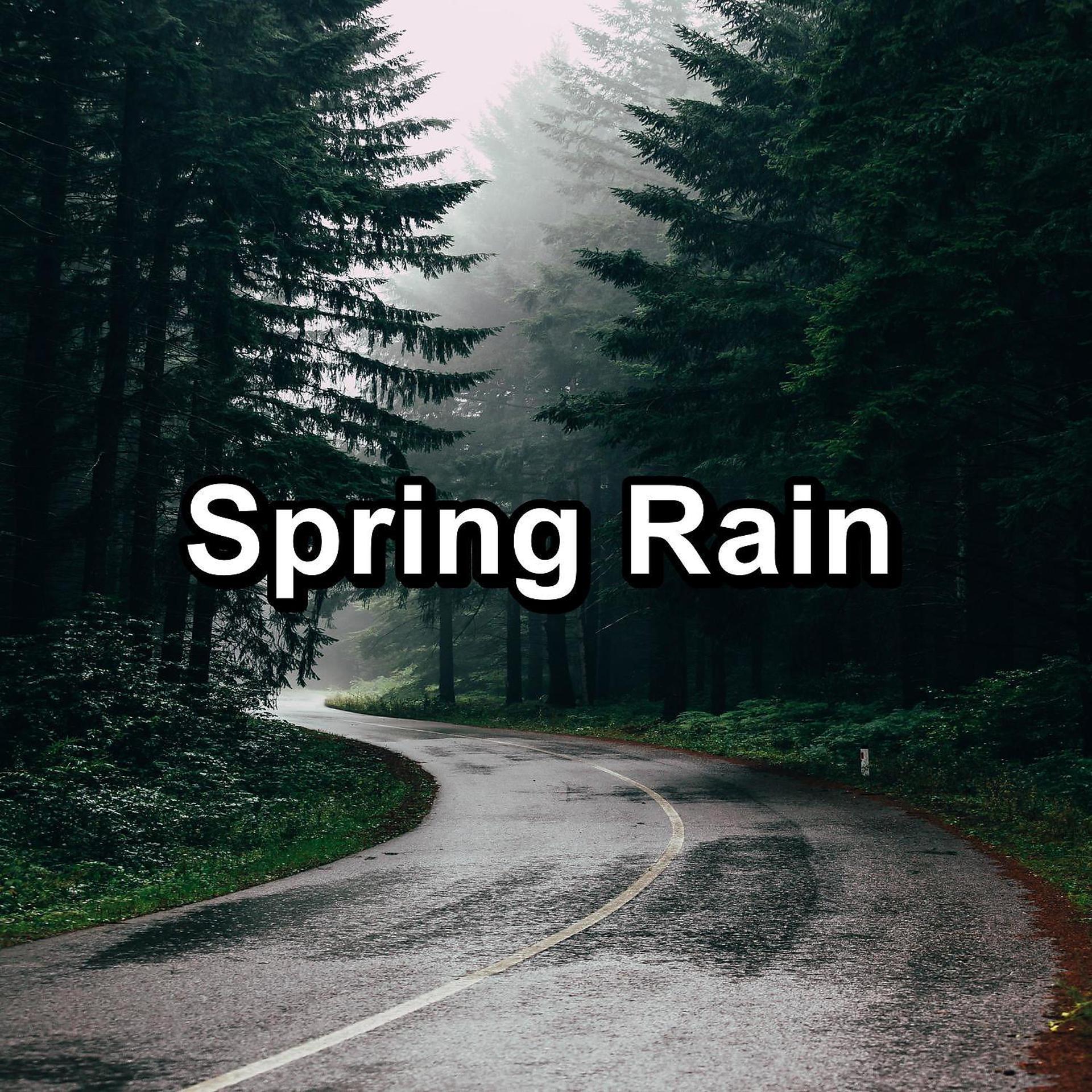 Постер альбома Spring Rain