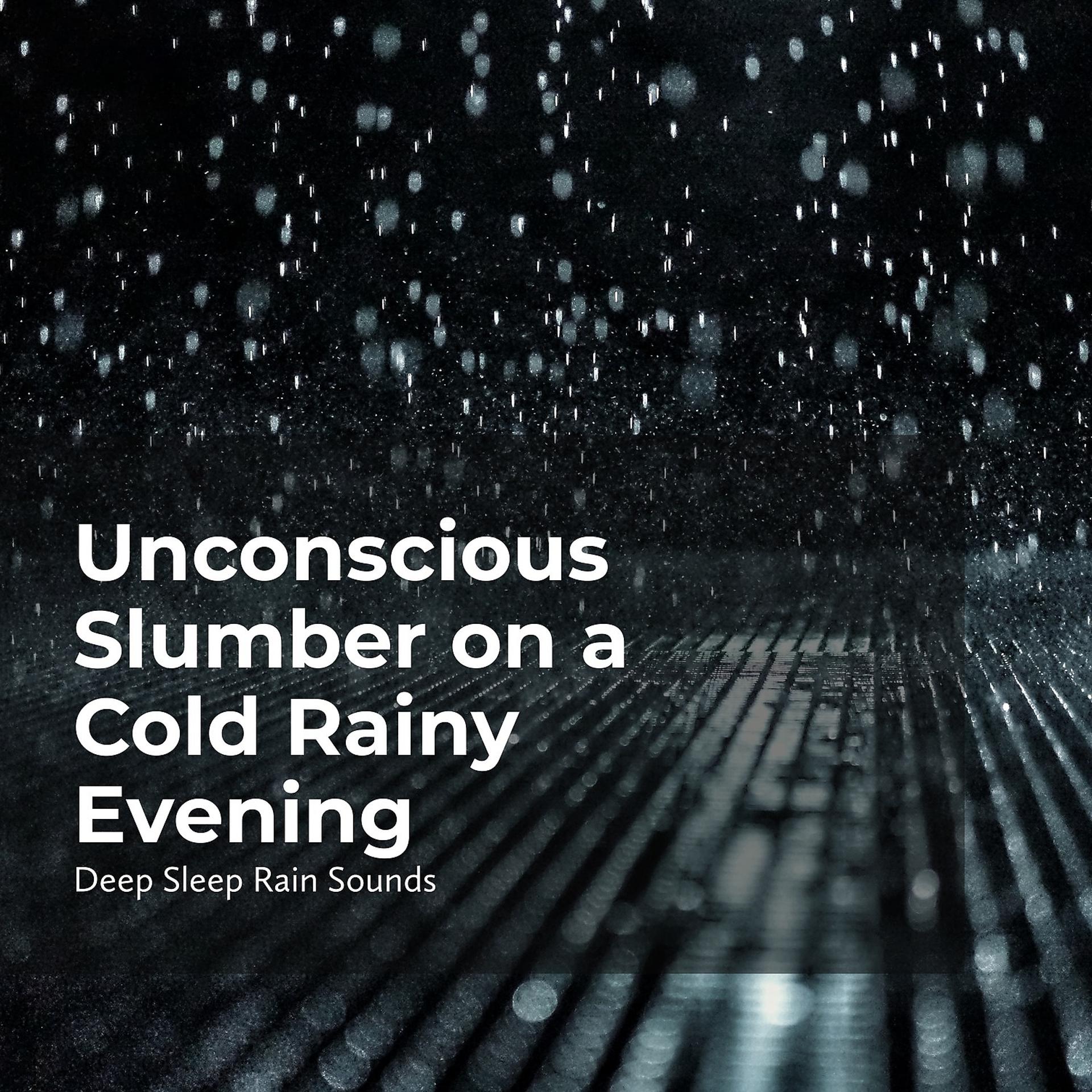 Постер альбома Unconscious Slumber on a Cold Rainy Evening