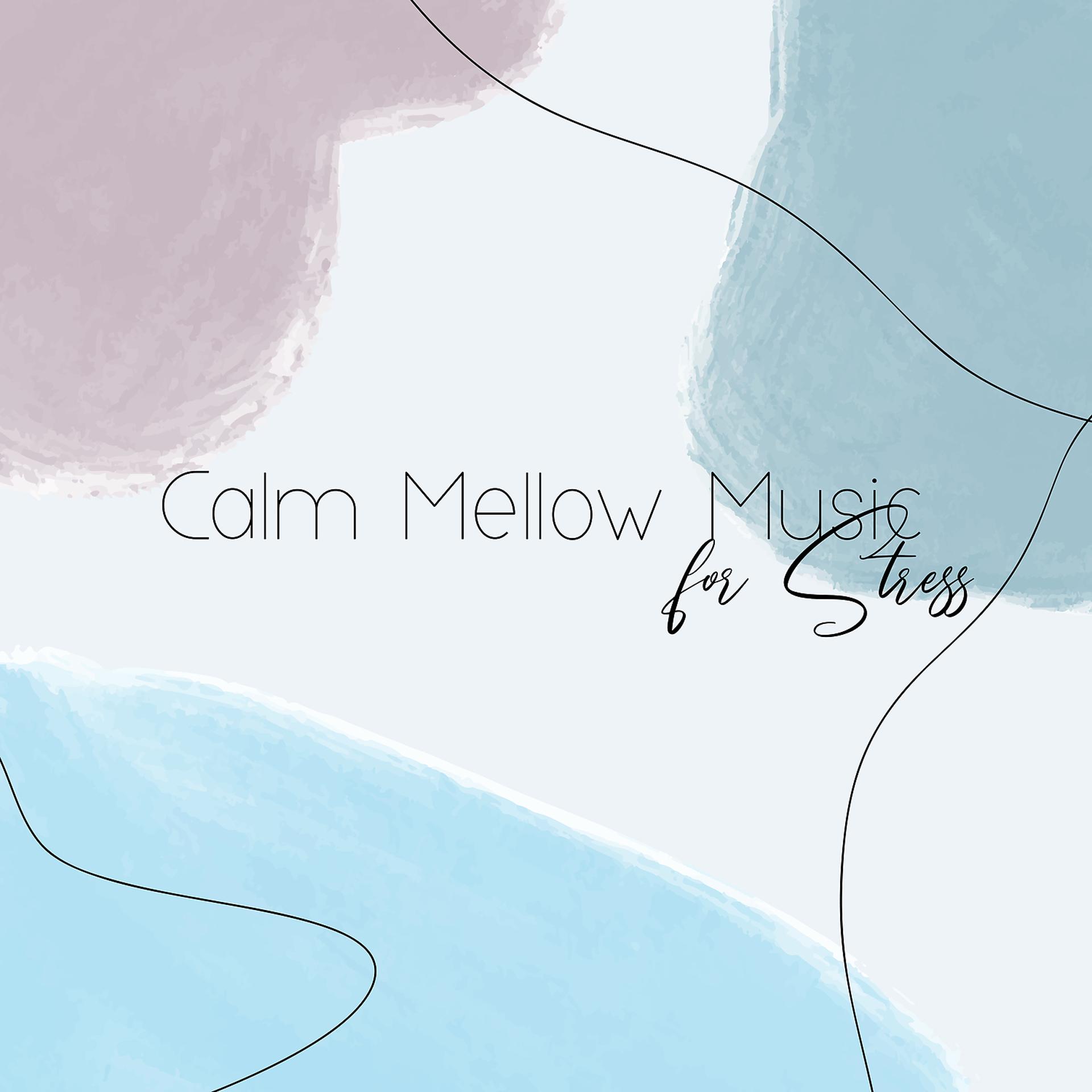 Постер альбома Calm Mellow Music for Stress