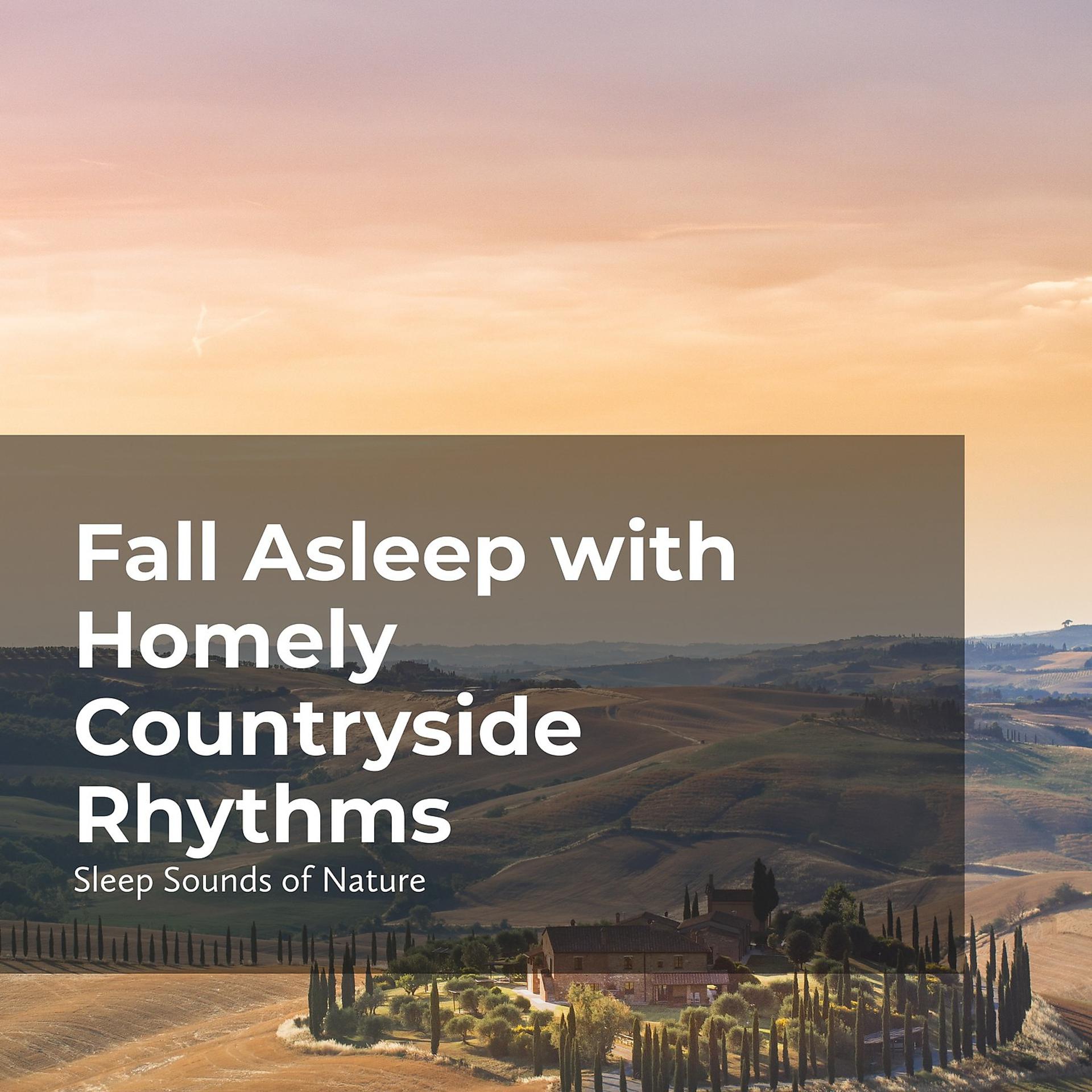 Постер альбома Fall Asleep with Homely Countryside Rhythms