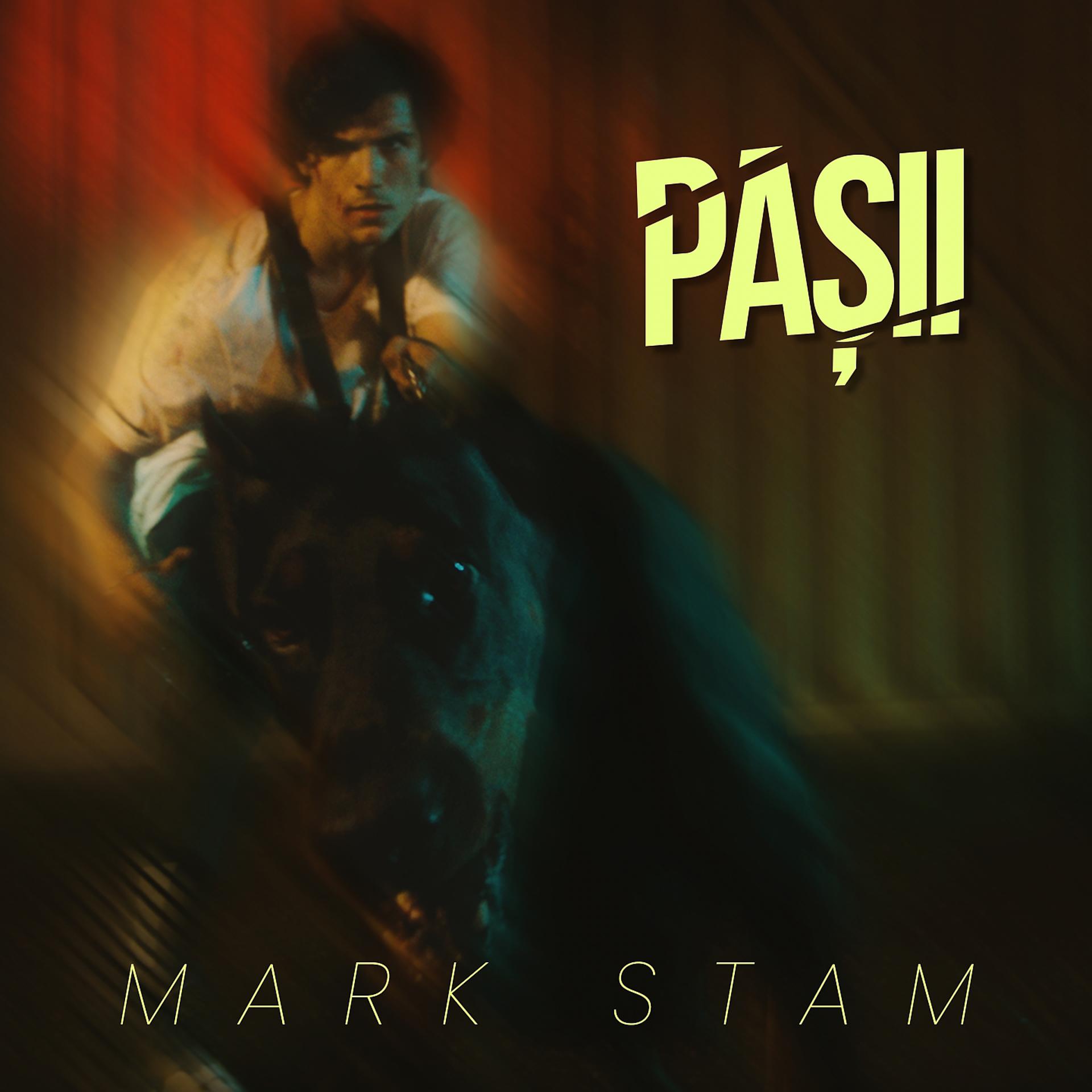 Постер альбома Pașii