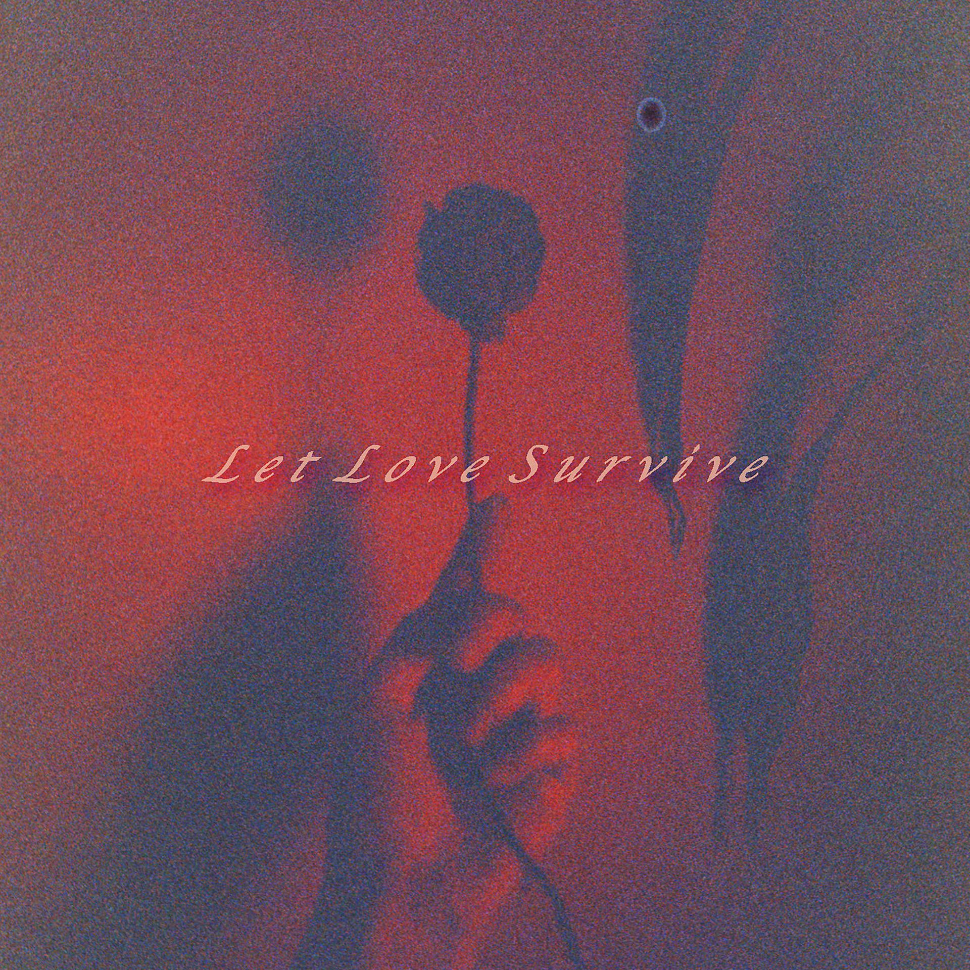 Постер альбома Let Love Survive
